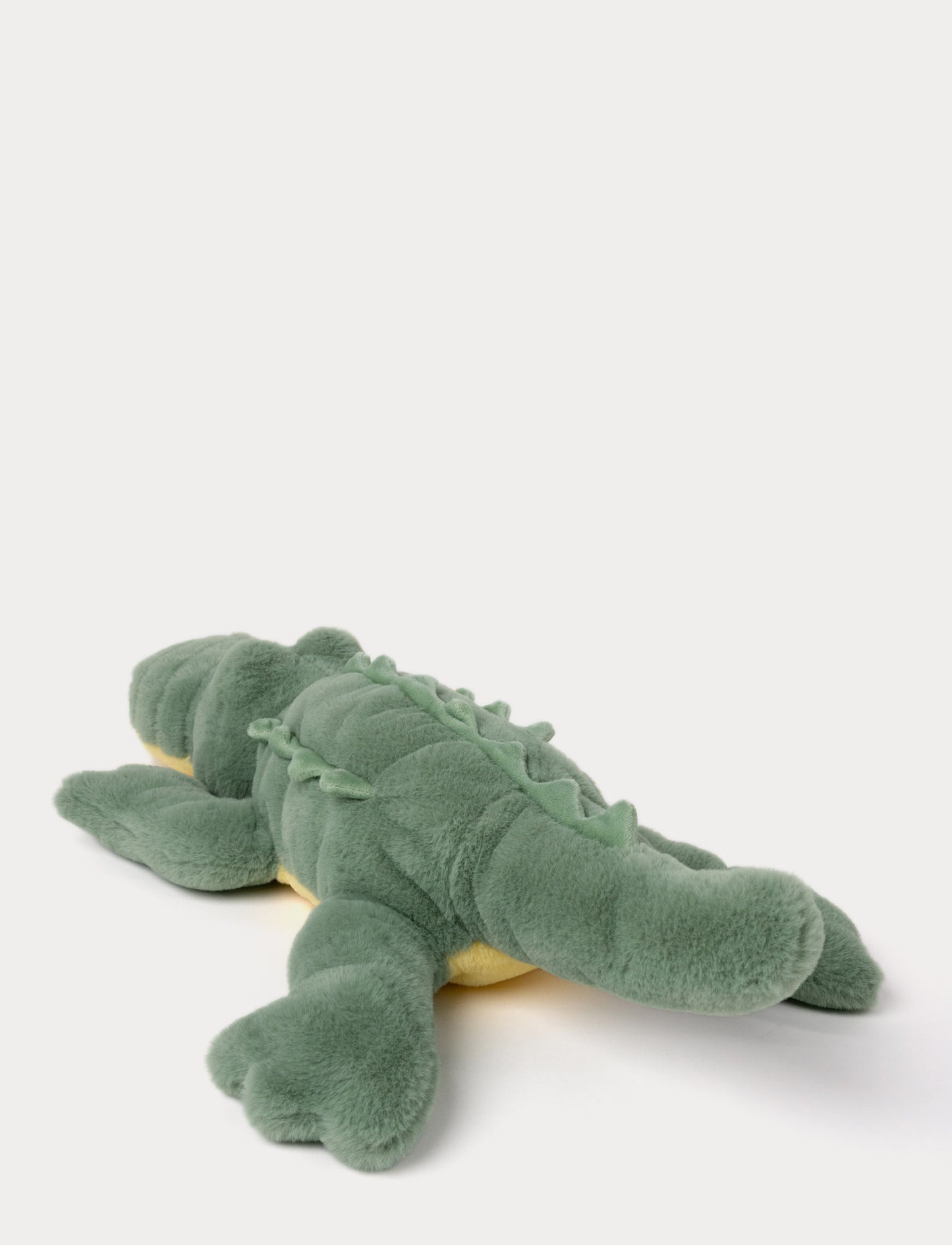Crocodile