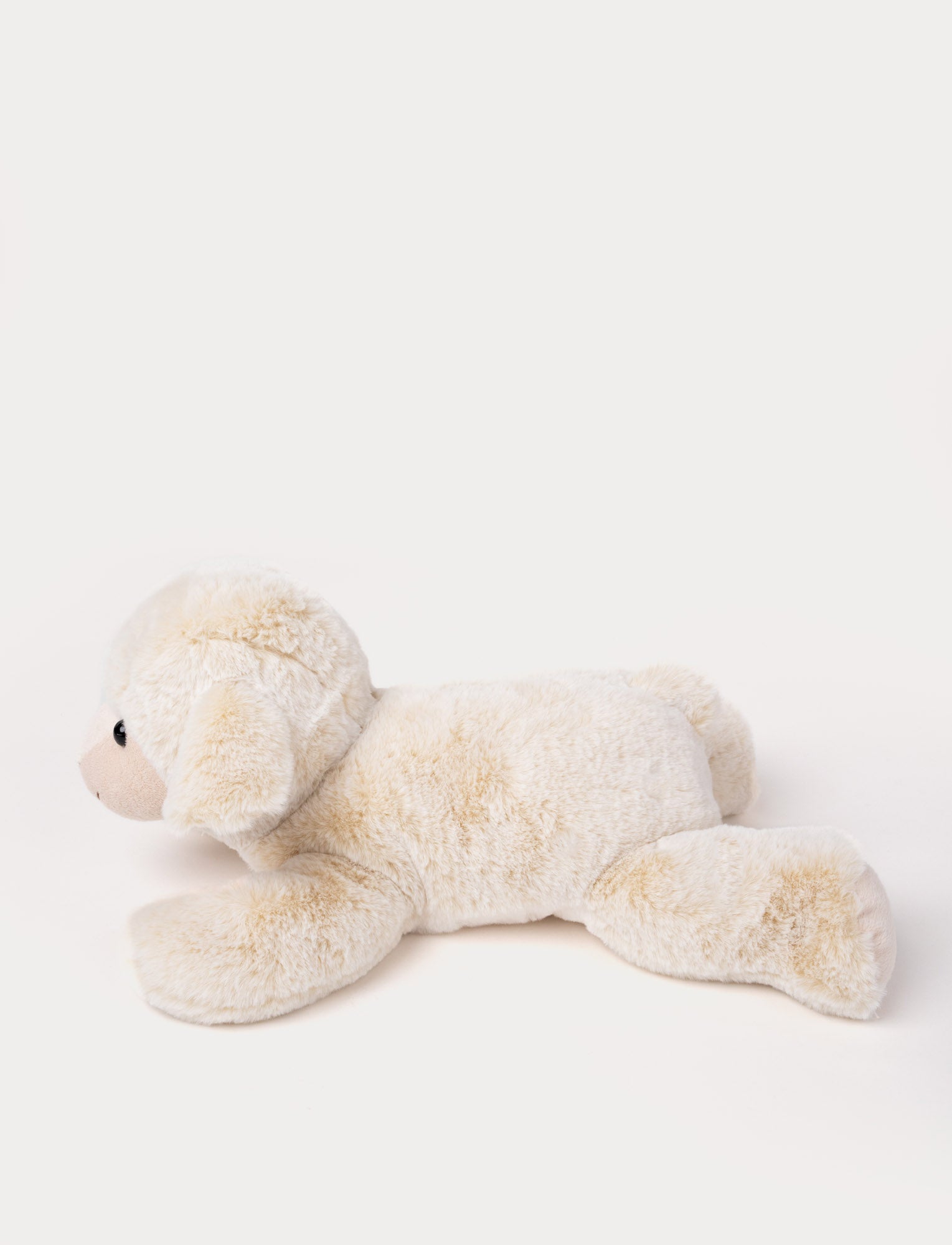  Image of Lying Lamb