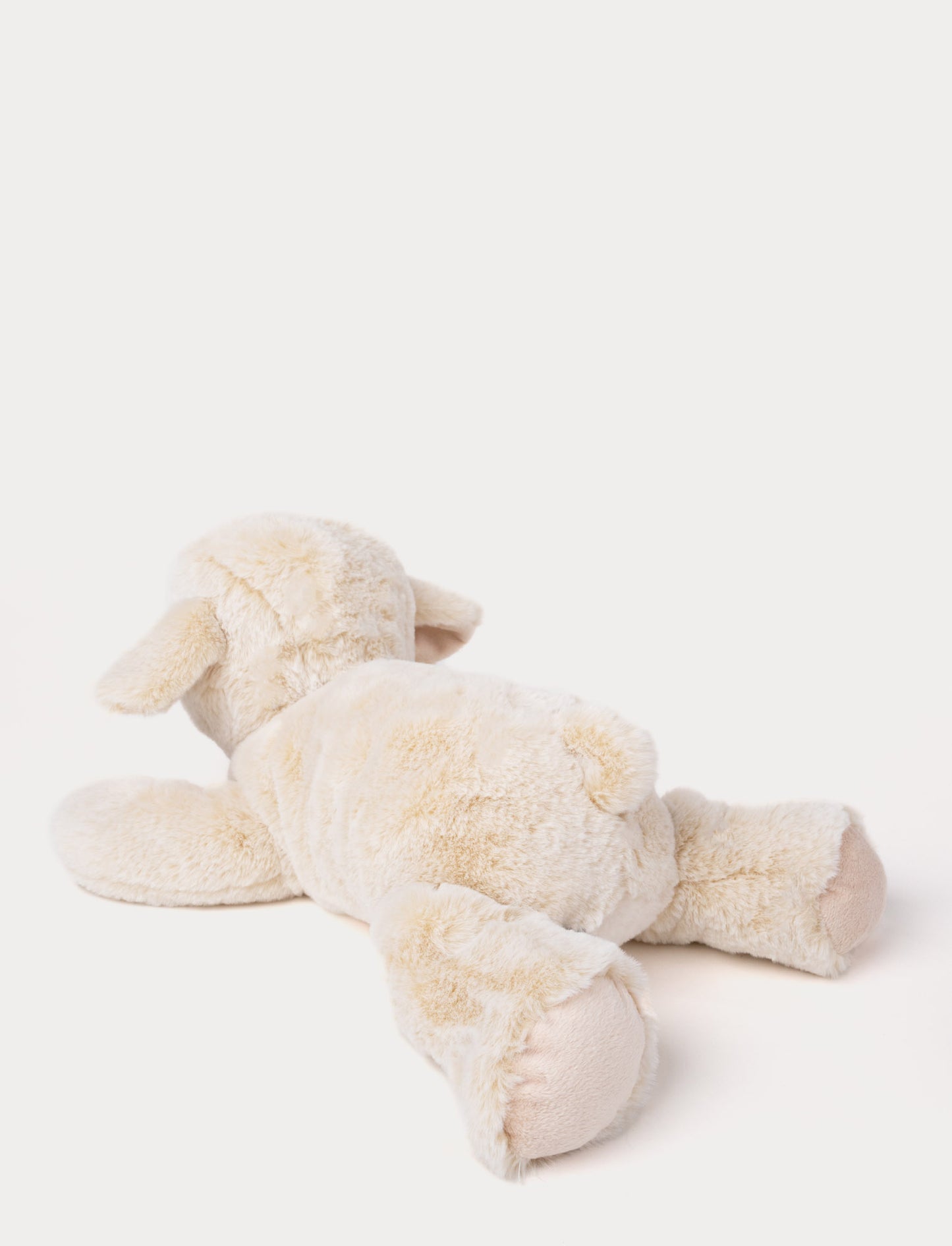 Lying Lamb