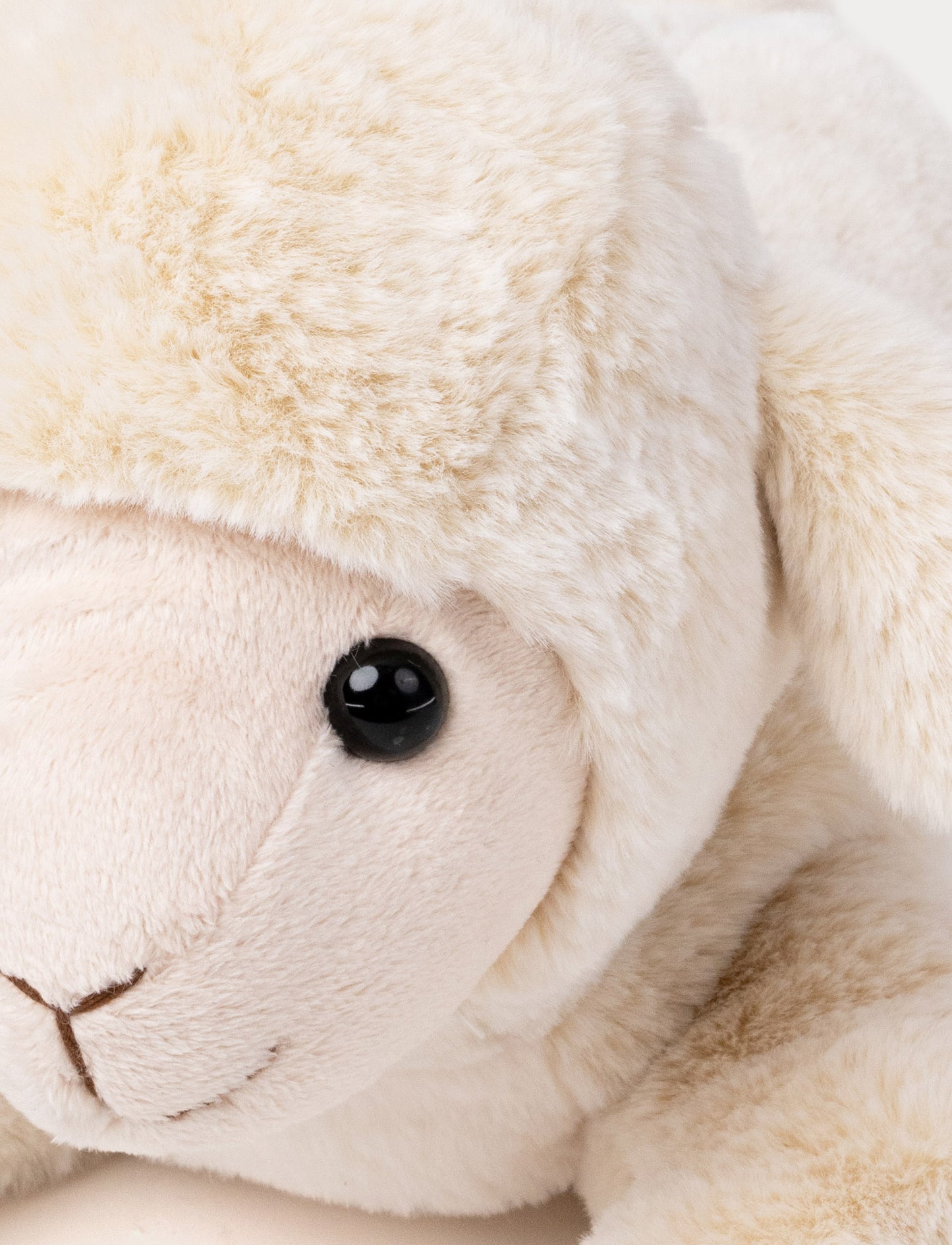 Lying Lamb