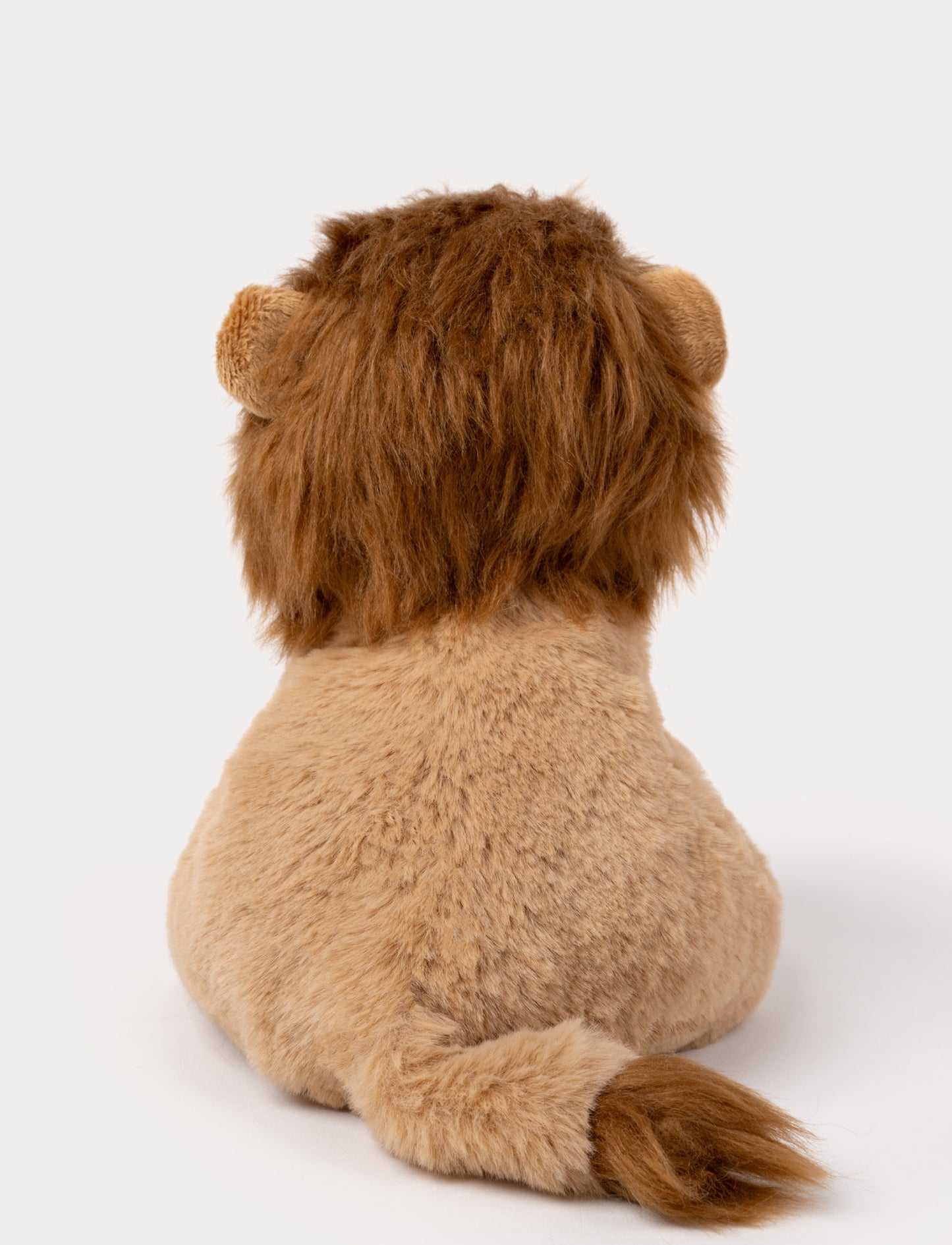 Jungle Kidz, Lion