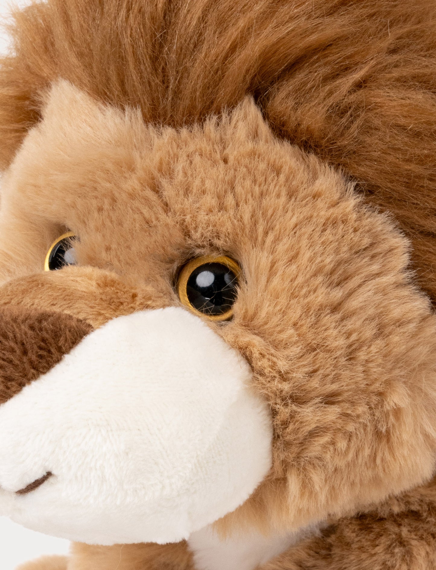 Jungle Kidz, Lion