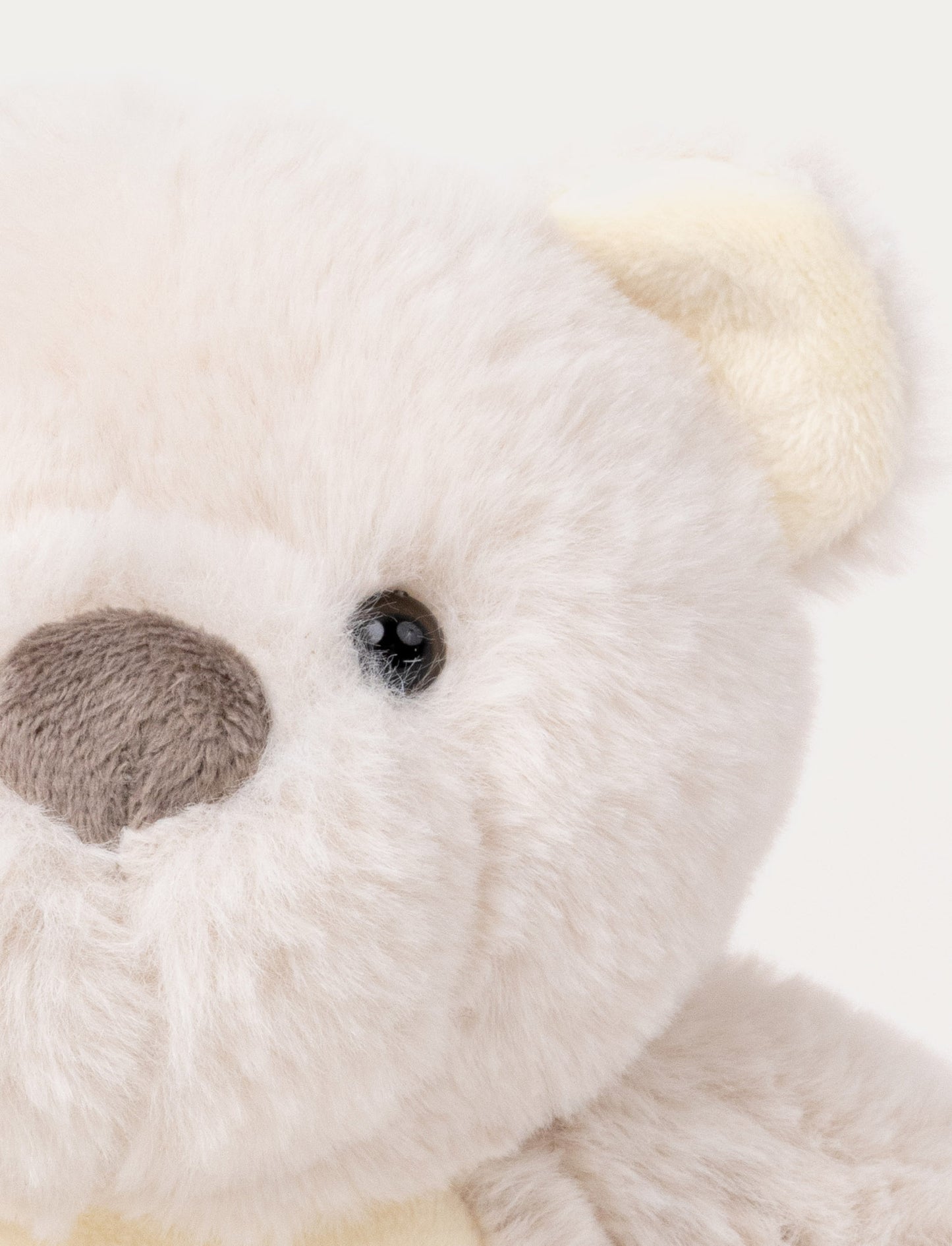 Glow-in-the-Dark Teddy Bear