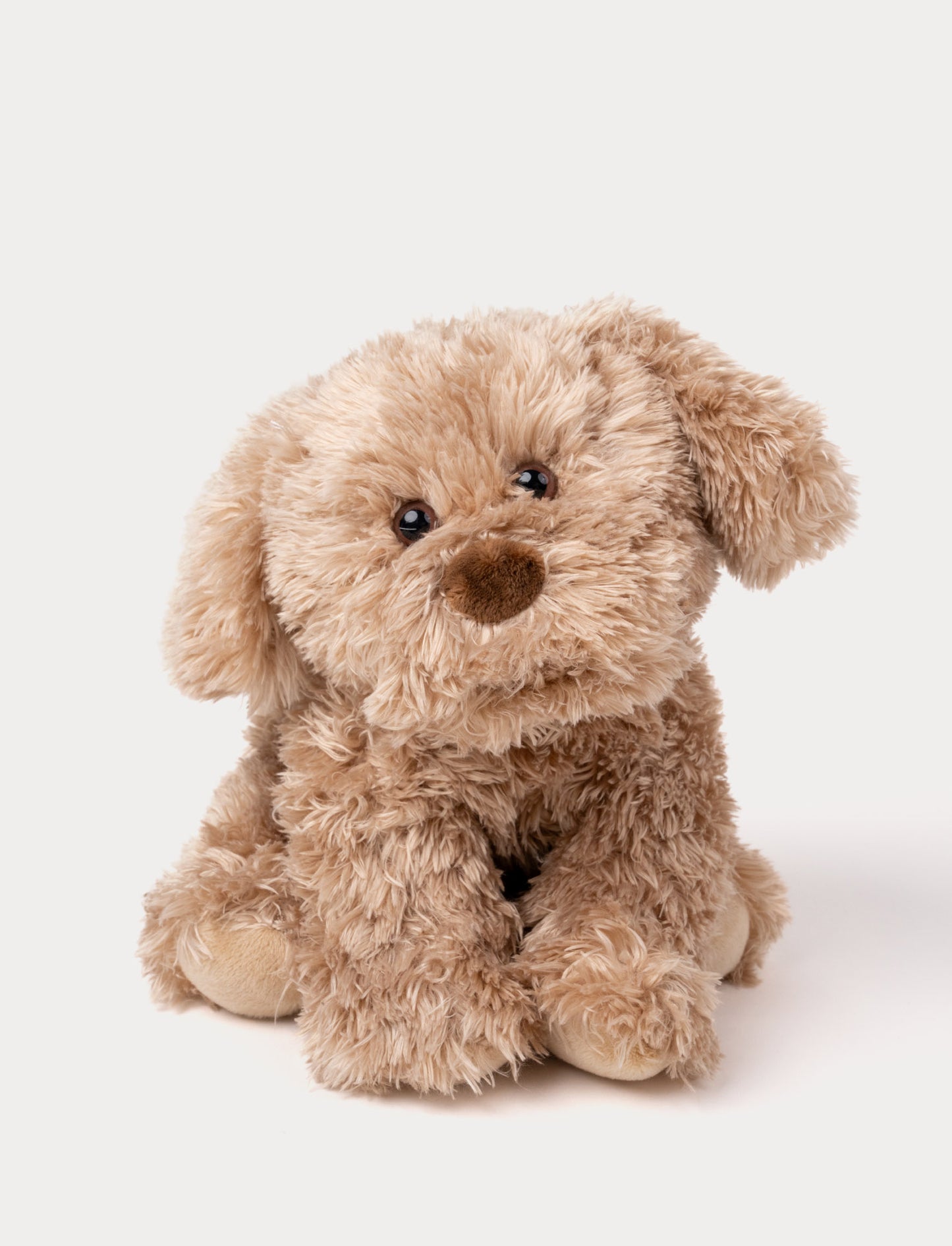 A fluffy puppy with brown fur and kind eyes, perfect for cuddling and carrying.