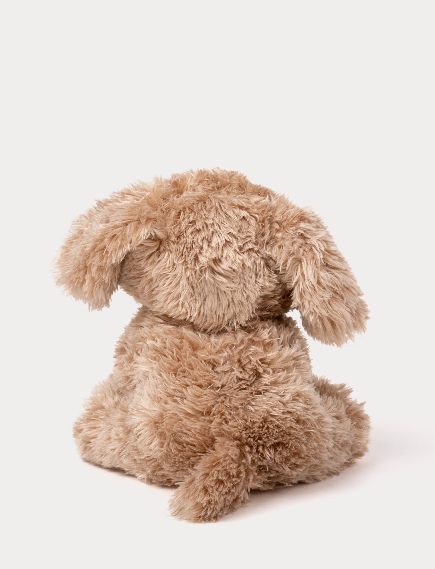 Selma, Hund, Liten
