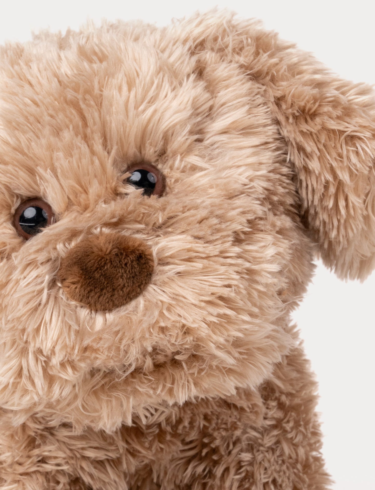 Selma, Hund, Liten