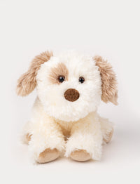 A fluffy puppy with white fur, and brown details. Kind eyes, perfect for cuddling and carrying.