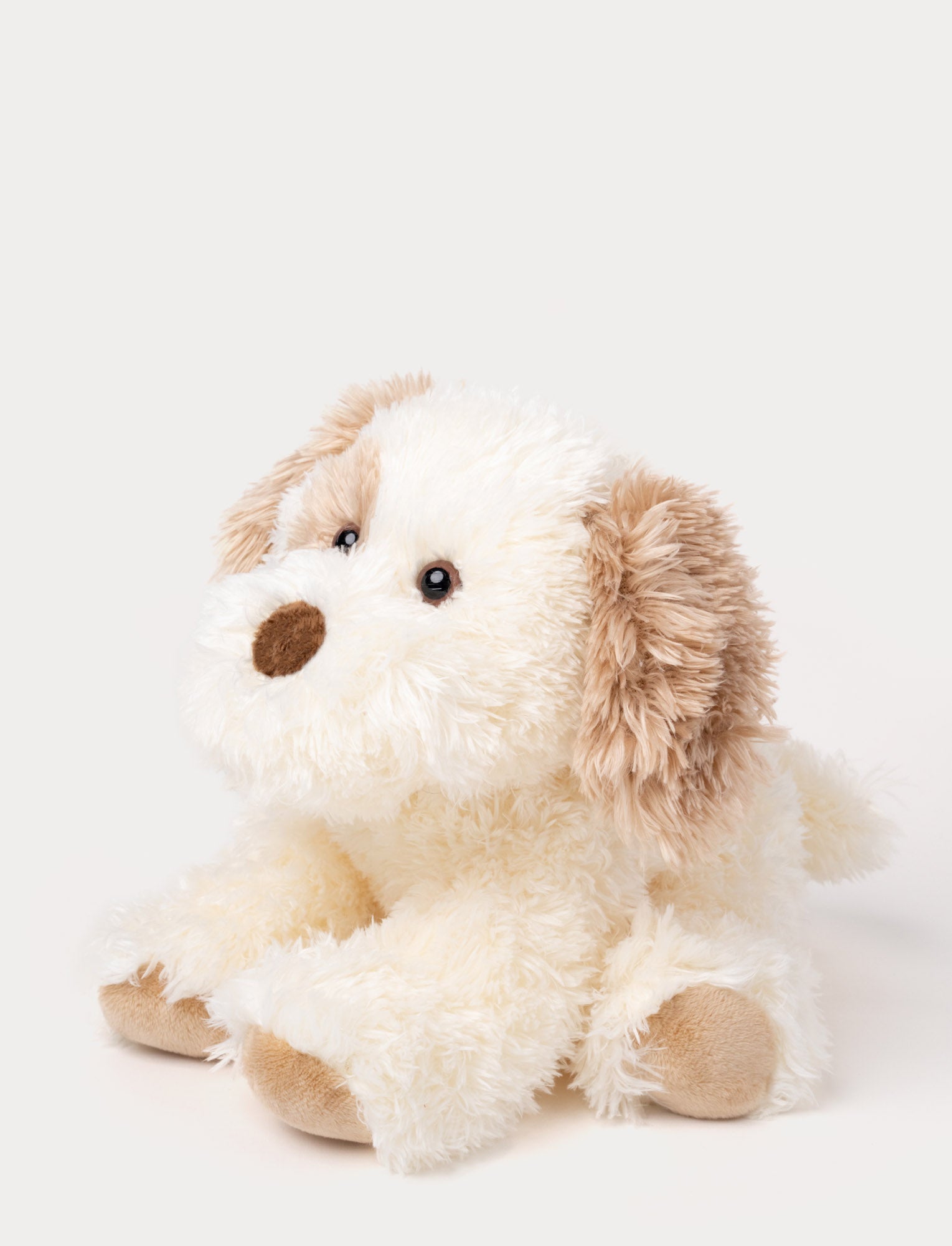  Image of Selma, Hund, Liten