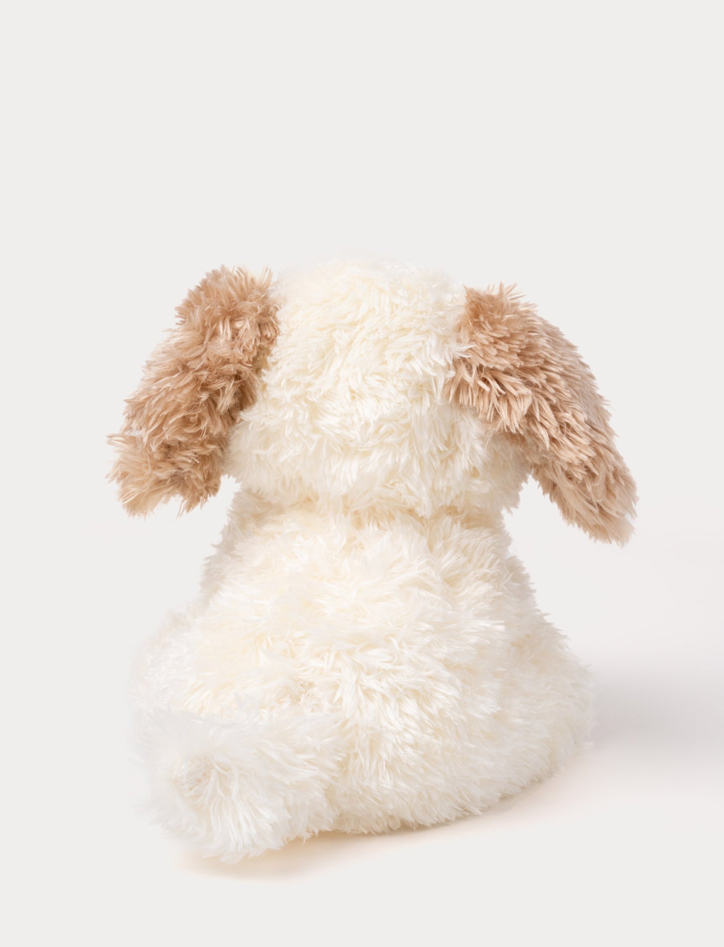 Selma, Hund, Liten