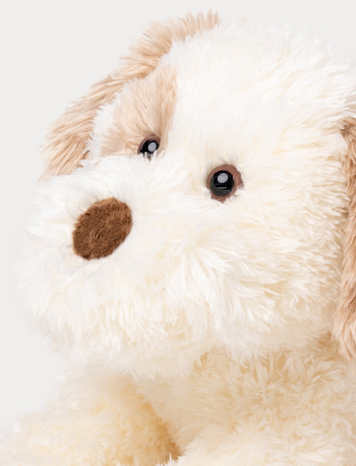Selma, Hund, Liten