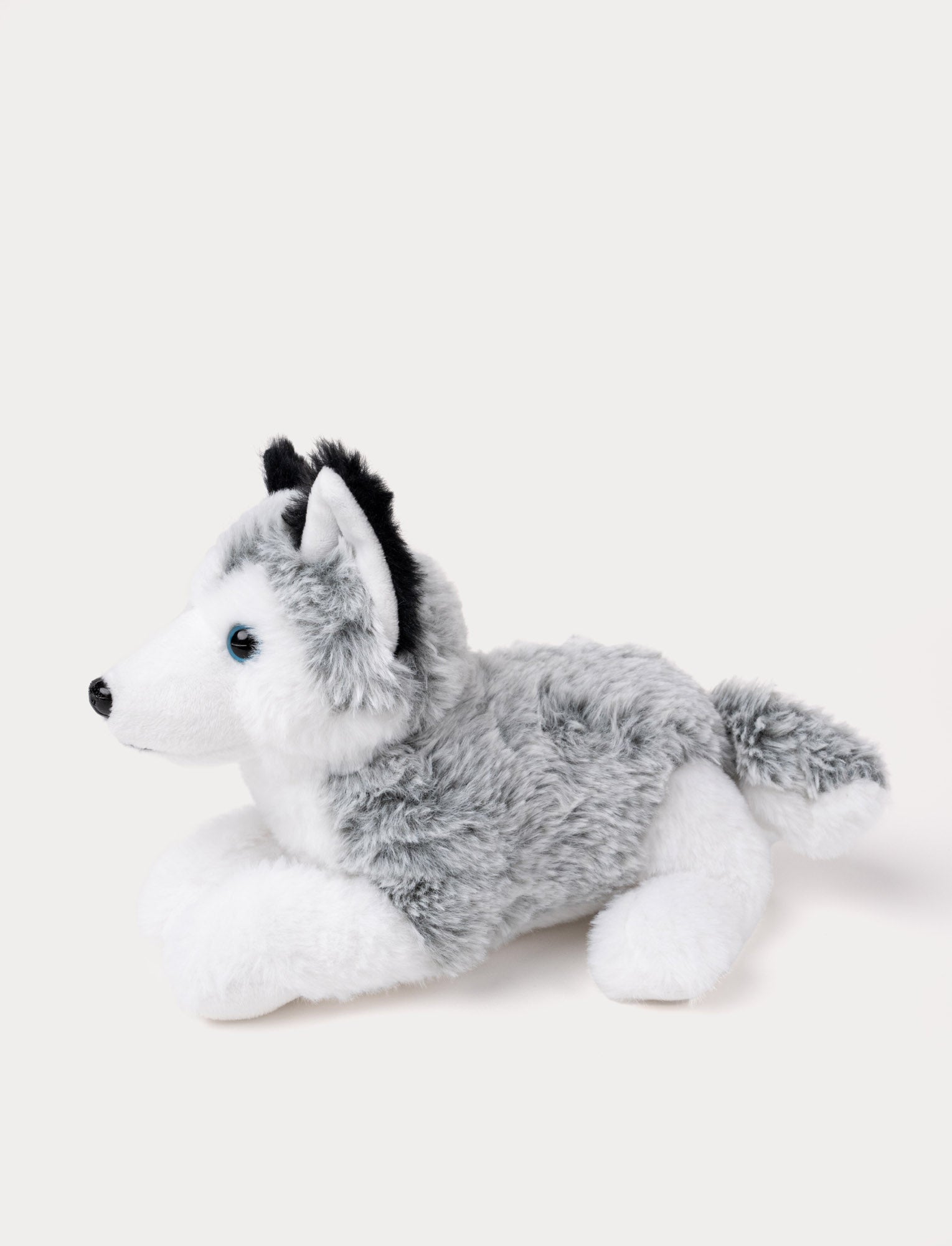 Soft Husky – A Loyal and Cuddly Friend – Teddykompaniet