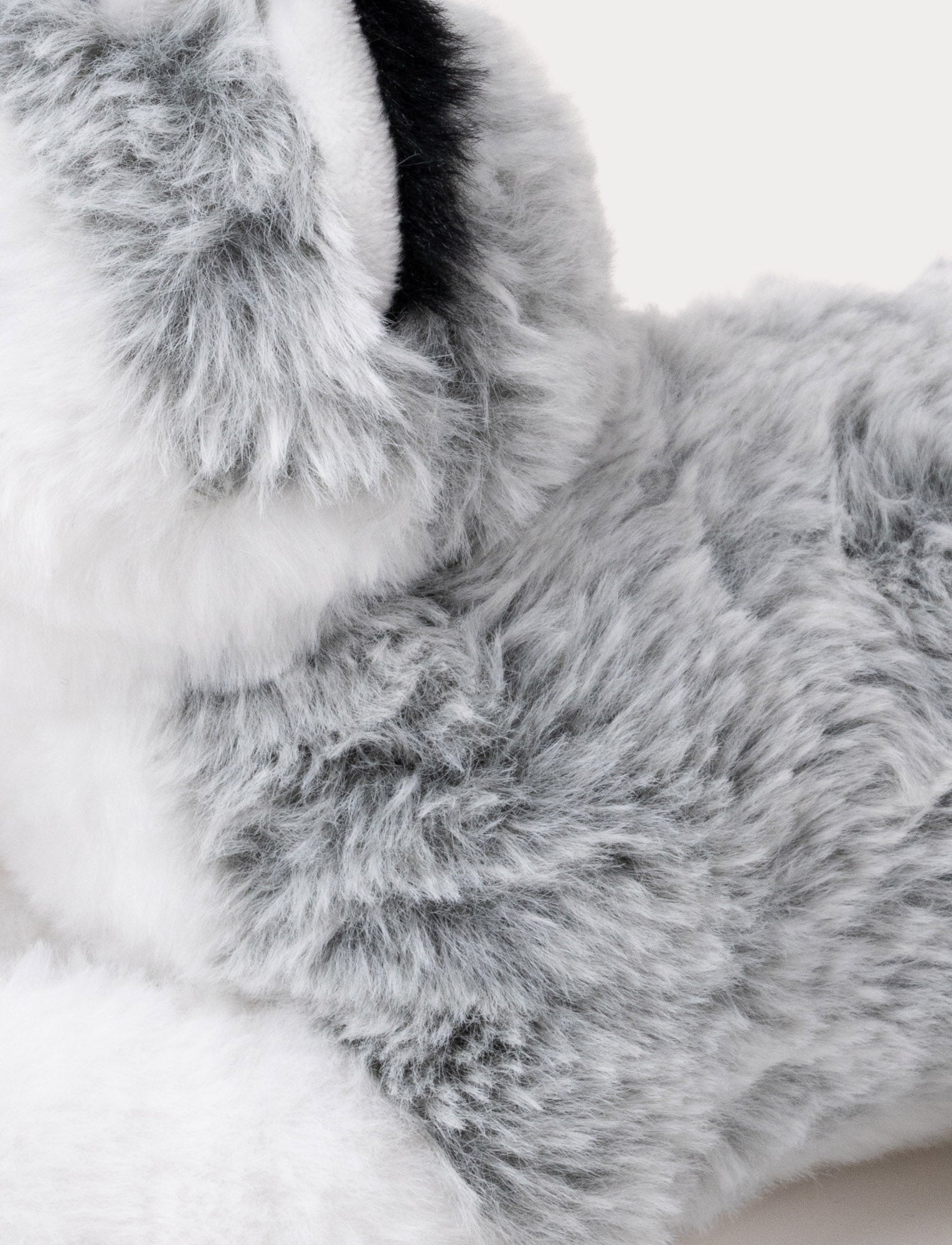 Soft Husky – A Loyal and Cuddly Friend – Teddykompaniet