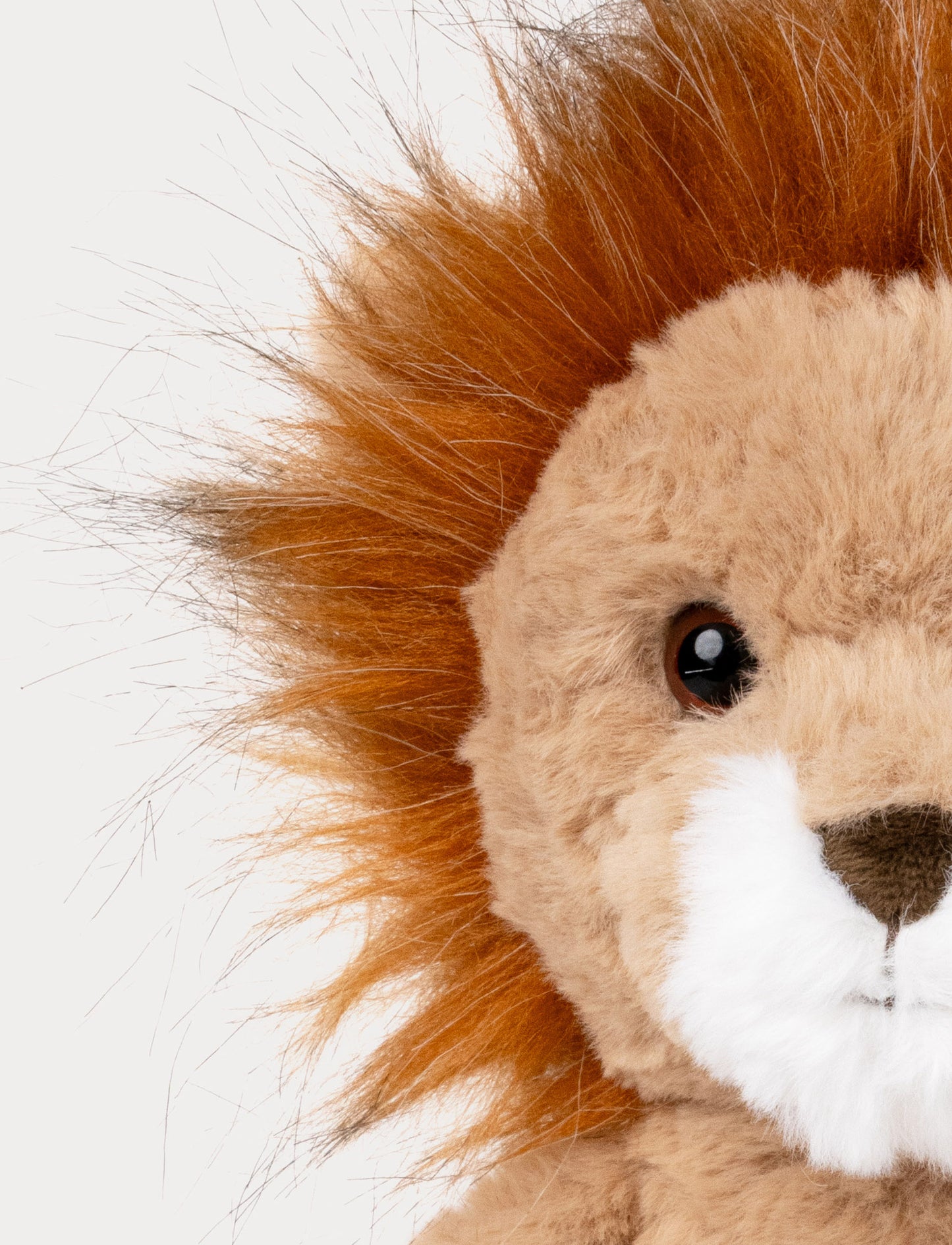 Tuffisar, The Lion Leon