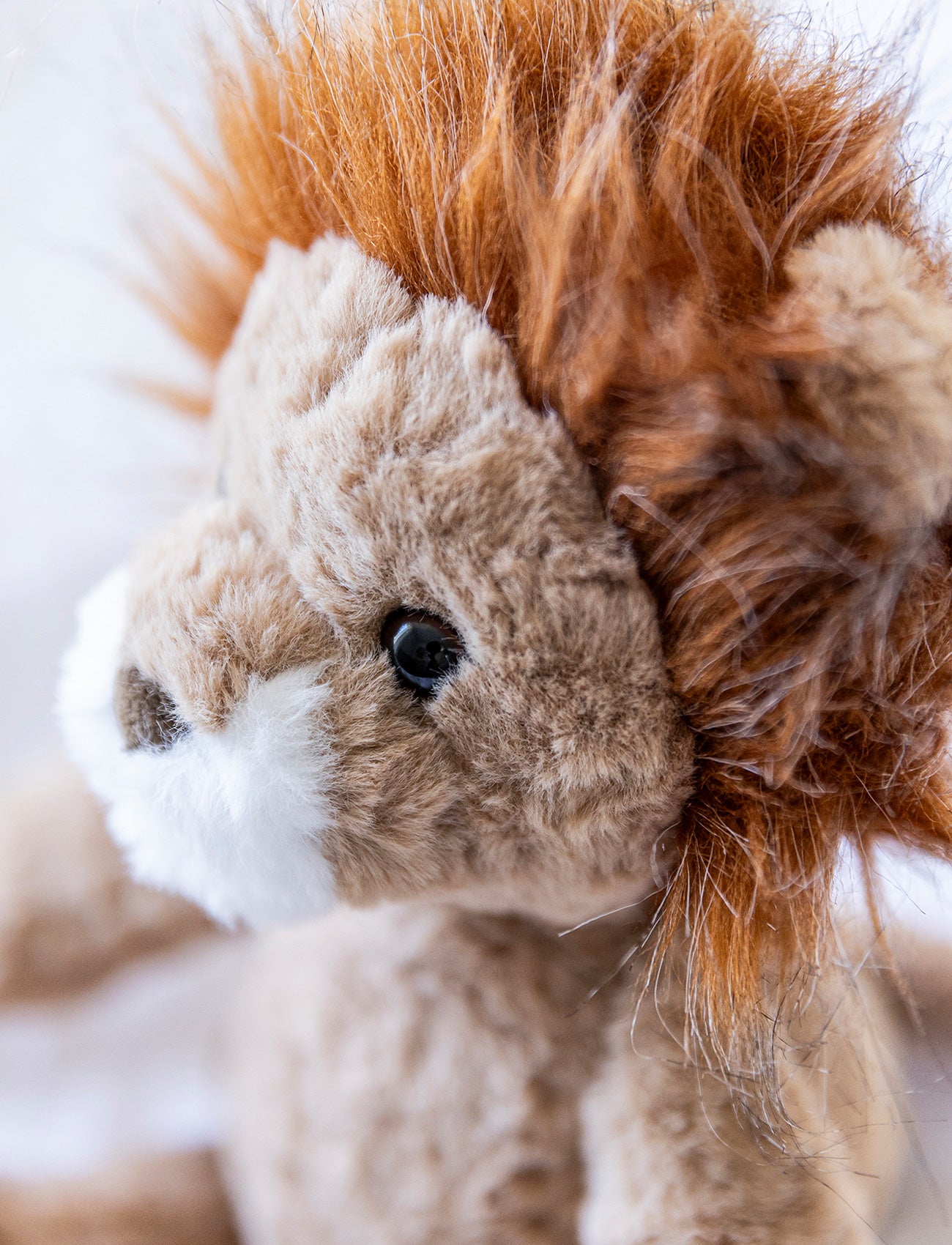 Tuffisar, The Lion Leon