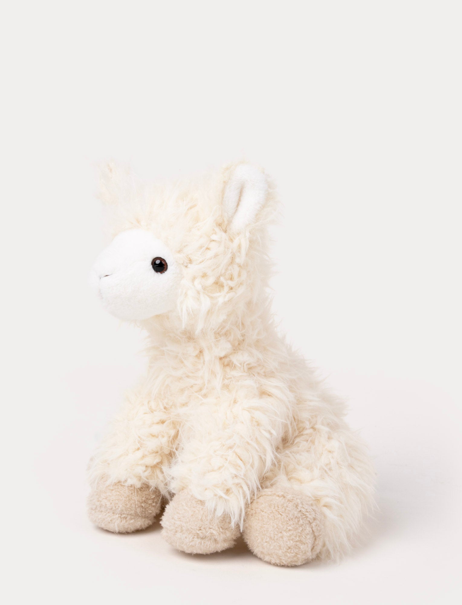  Image of Liam, Llama