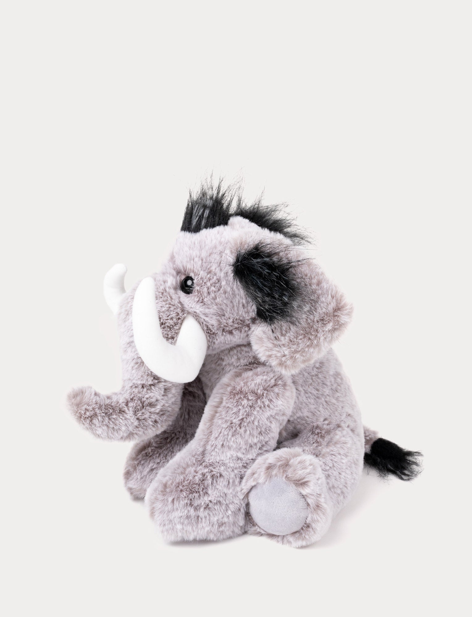  Image of Max, Mammoth