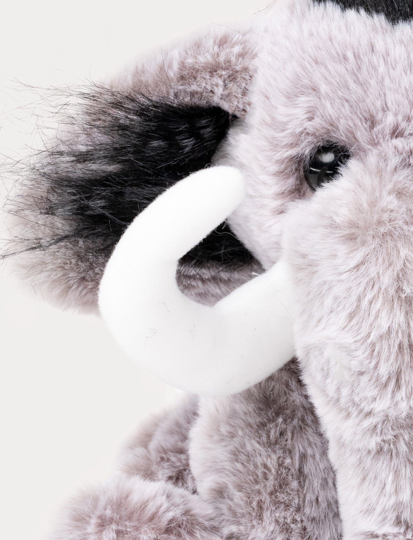 Max, Mammut