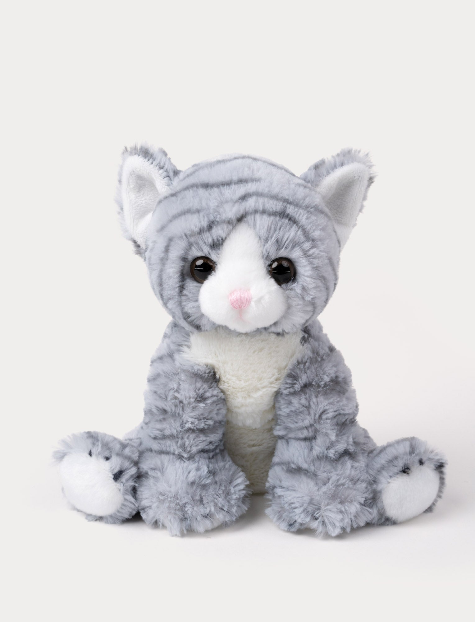  Image of A cat with soft gray-striped fur, big paws, kind eyes, and a playful expression.