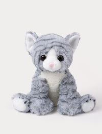 A cat with soft gray-striped fur, big paws, kind eyes, and a playful expression.