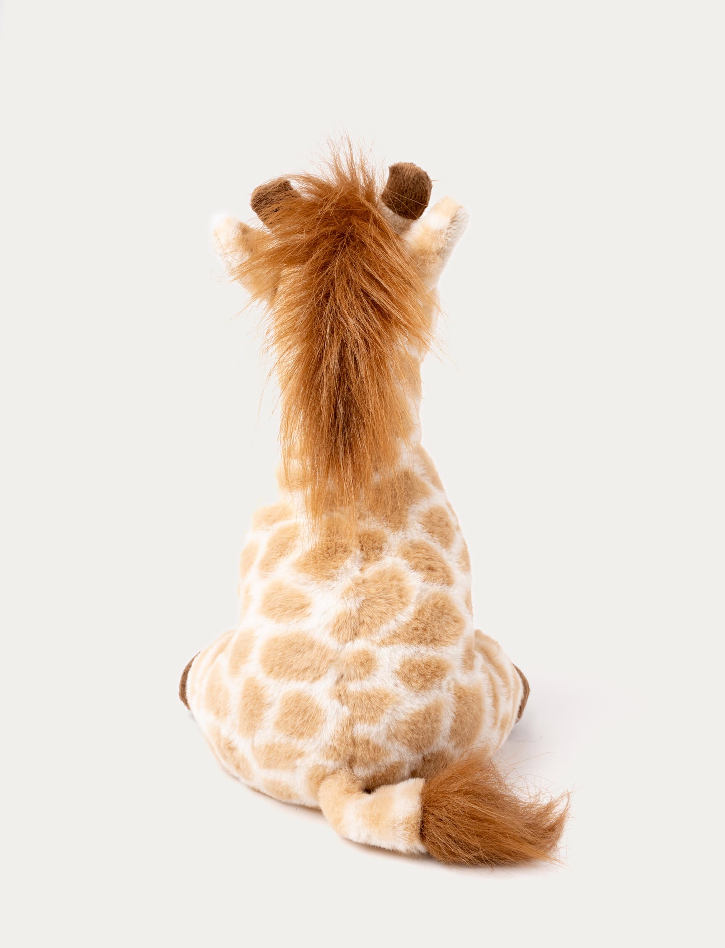 Giraffe Gina, Big