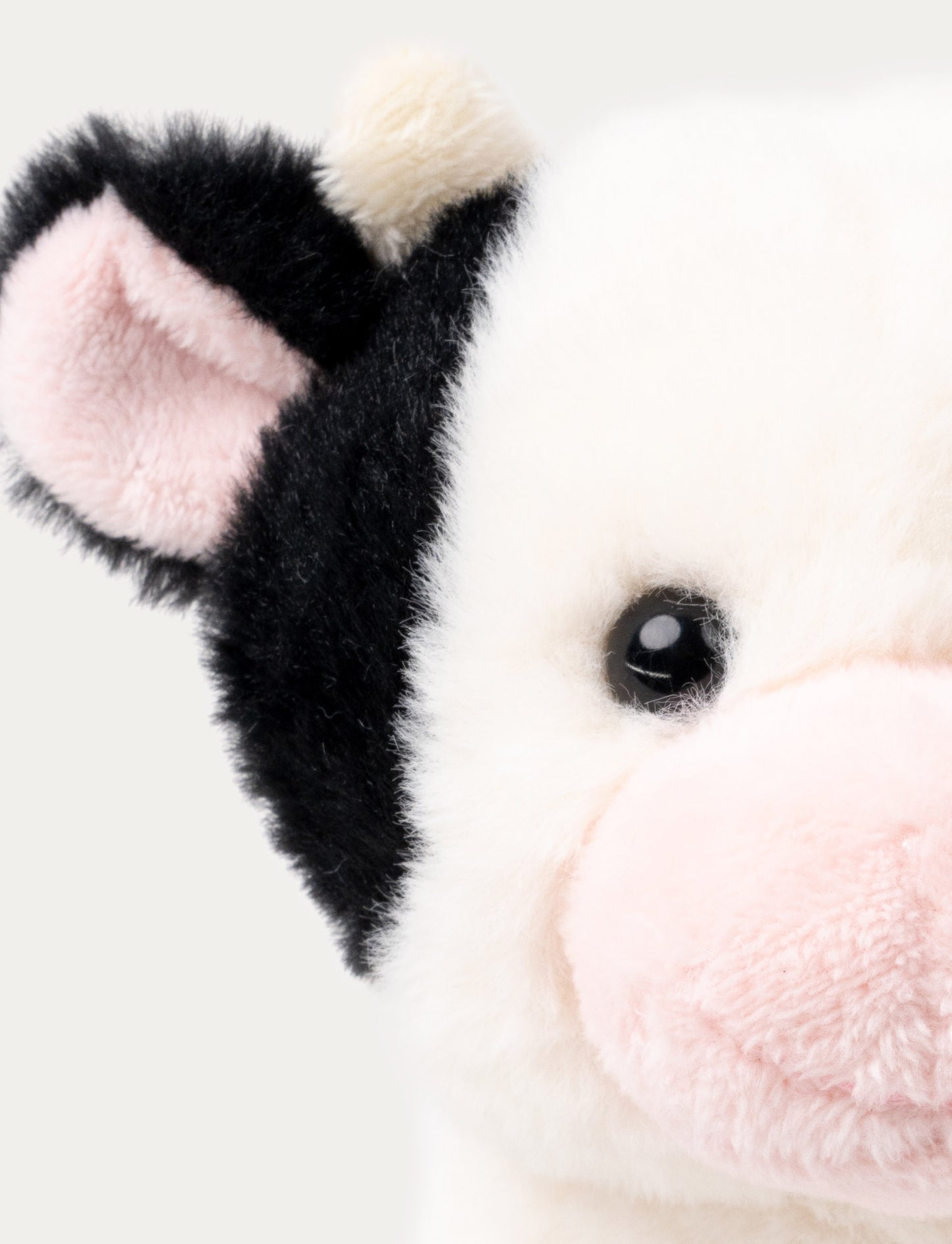 Teddy Farm, Sitting Cow