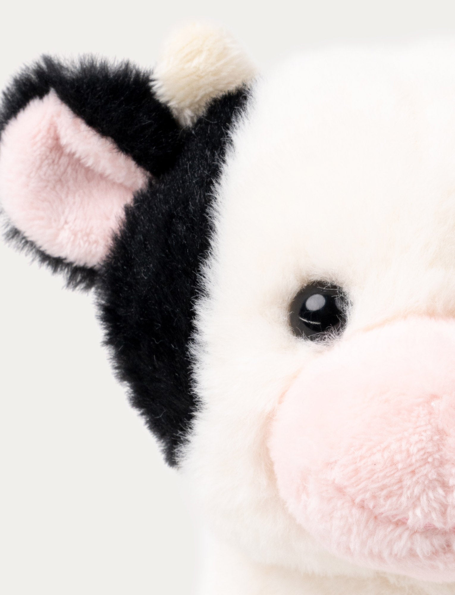  Image of Teddy Farm, Sitting Cow