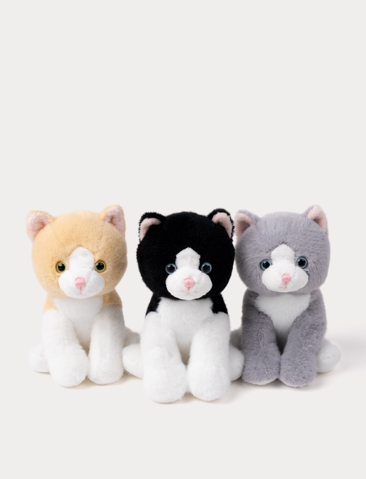Kittens