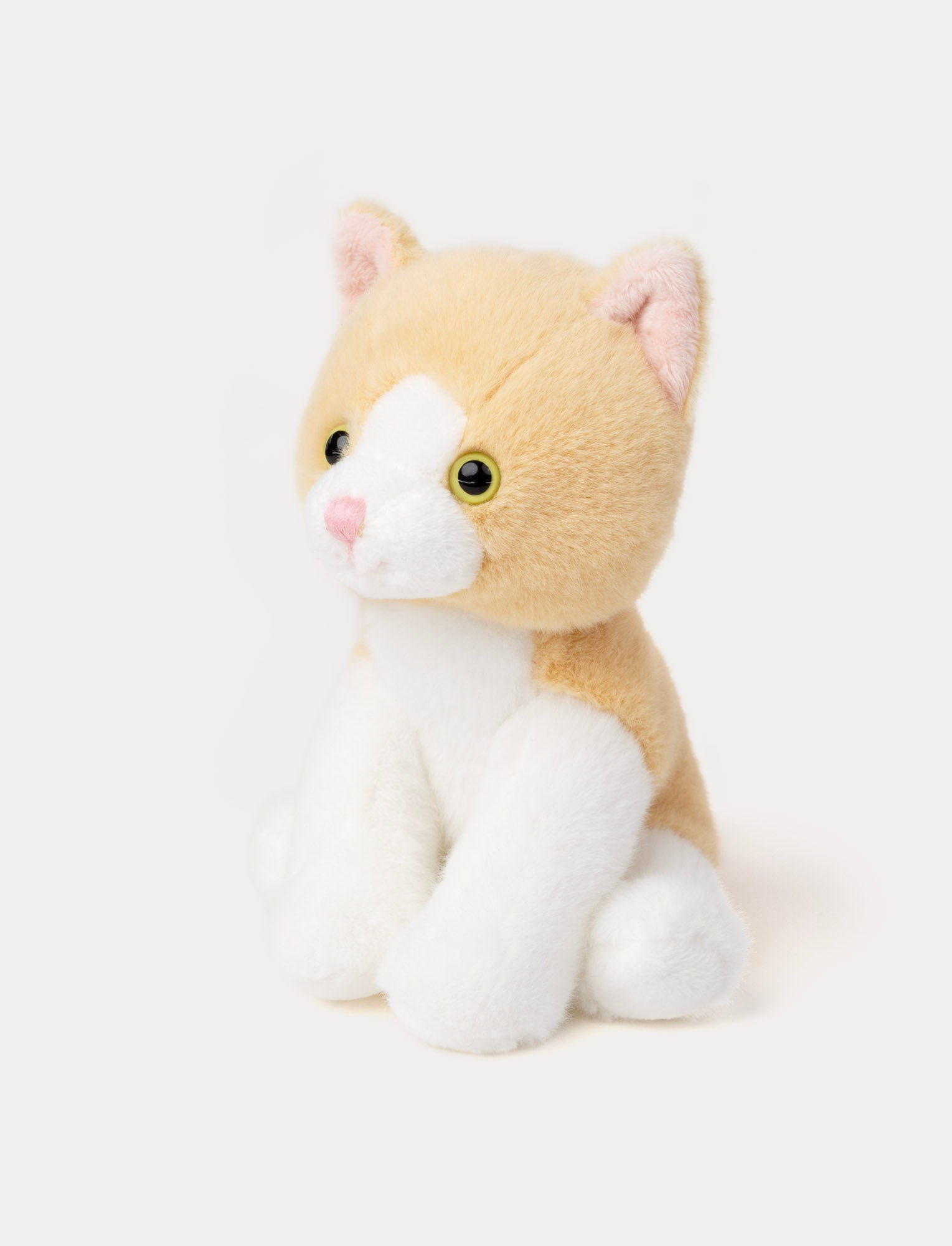  Image of Kattungar