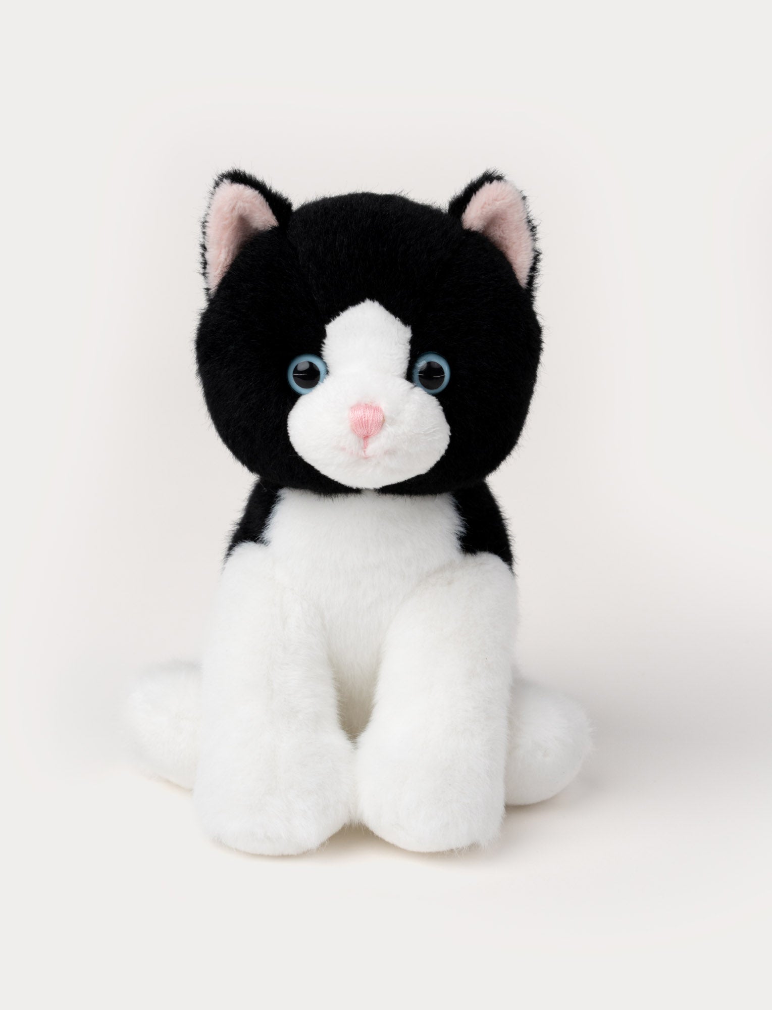 Black and white kitten – soft & playful friend – Teddykompaniet