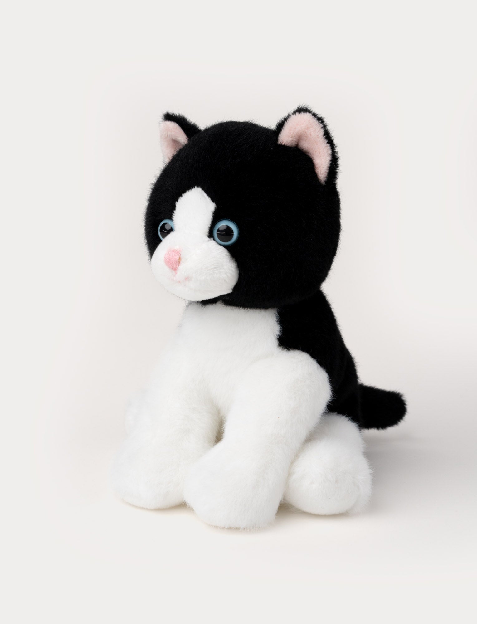  Image of Kattungar