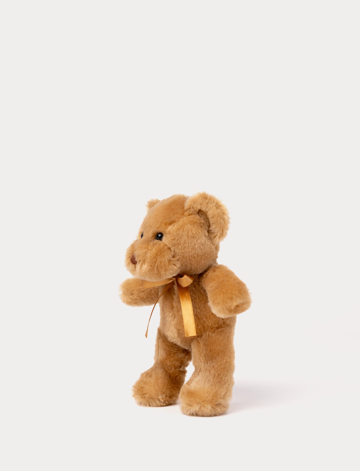  Image of Theo, Teddy Bear