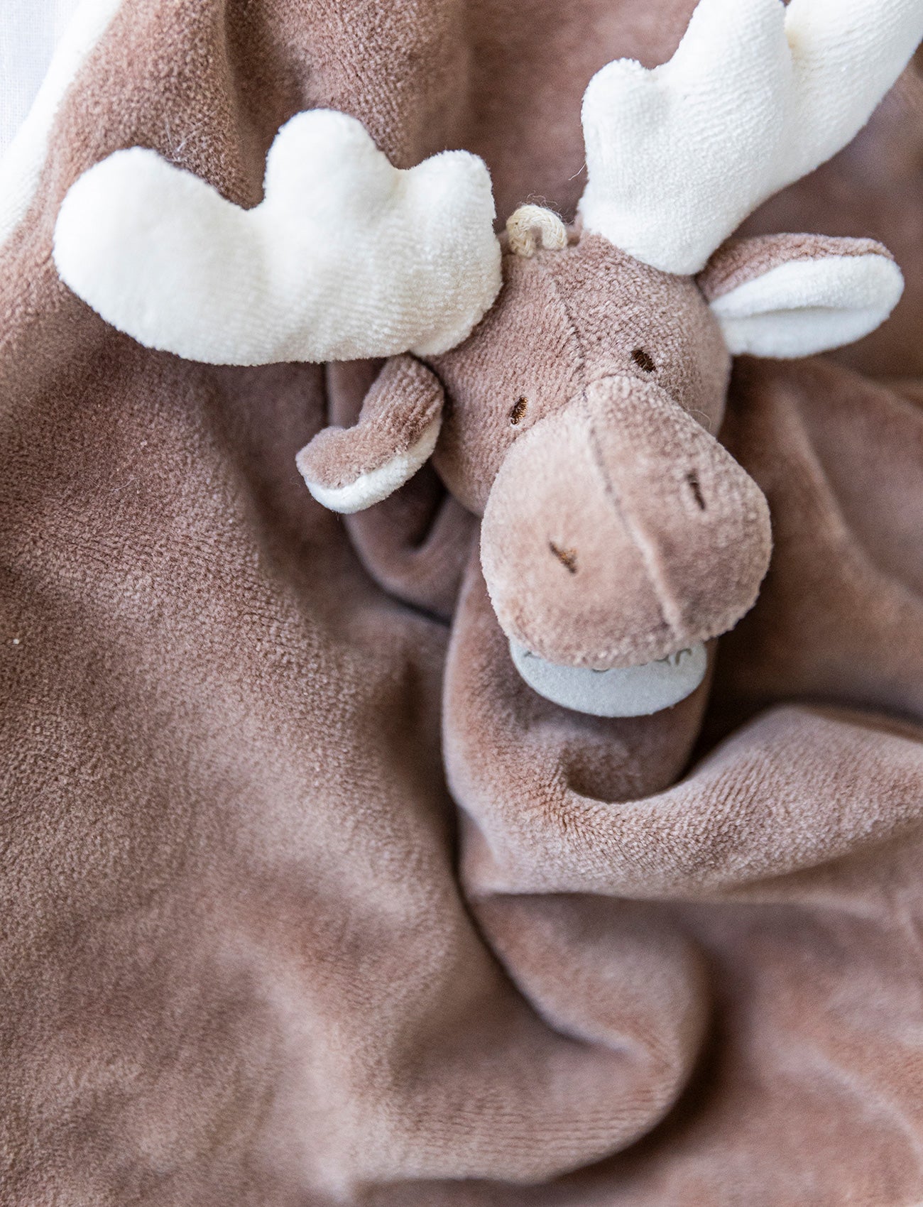 Diinglisar Organic, Baby Blanket, Moose