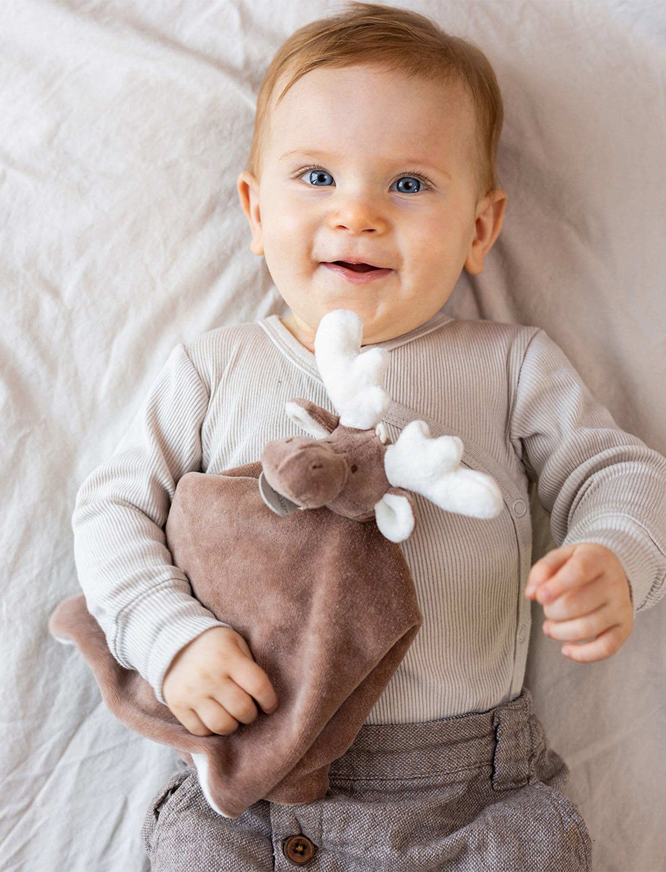 Diinglisar Organic, Baby Blanket, Moose