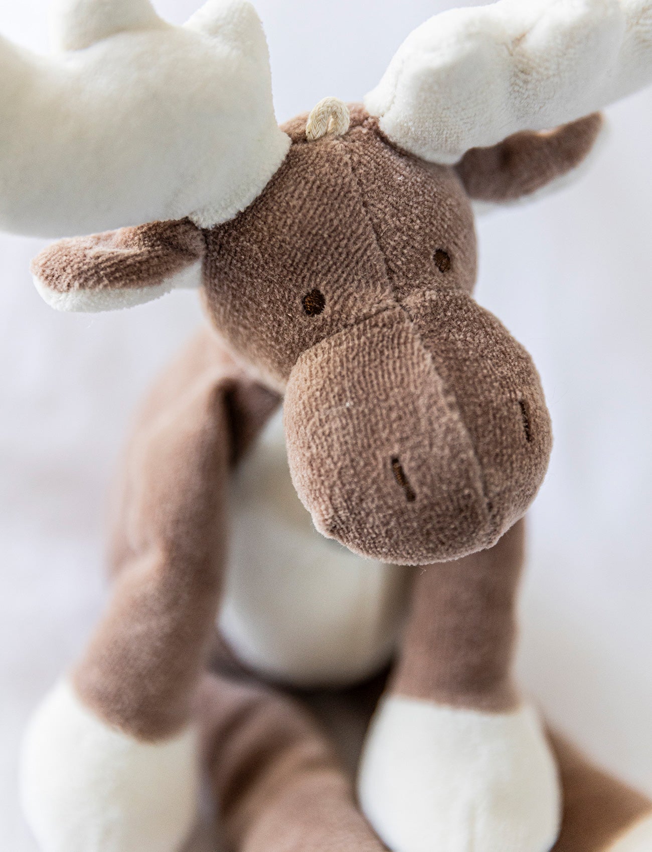 Diinglisar Organic, Moose