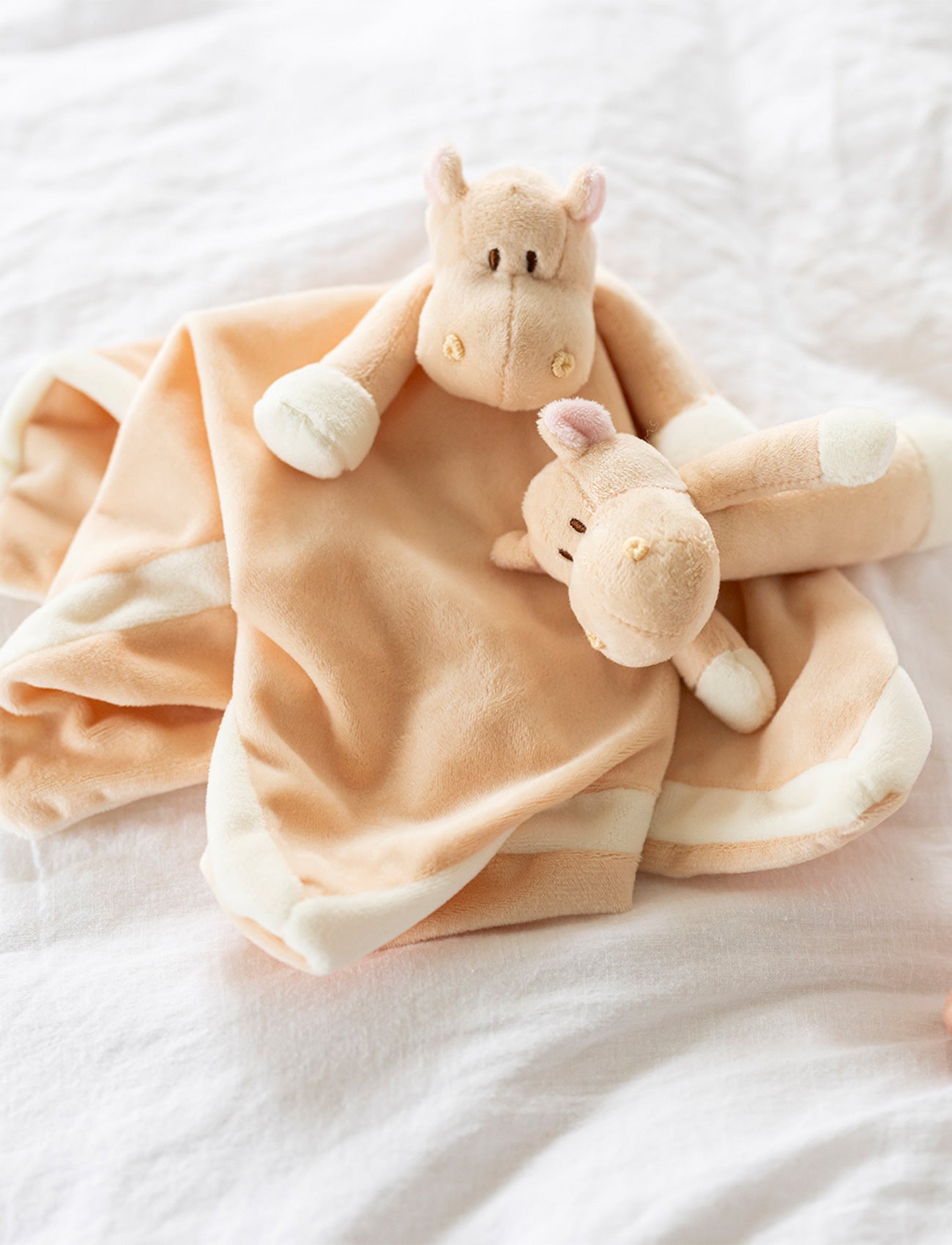 Diinglisar, Baby Blanket, Hippo