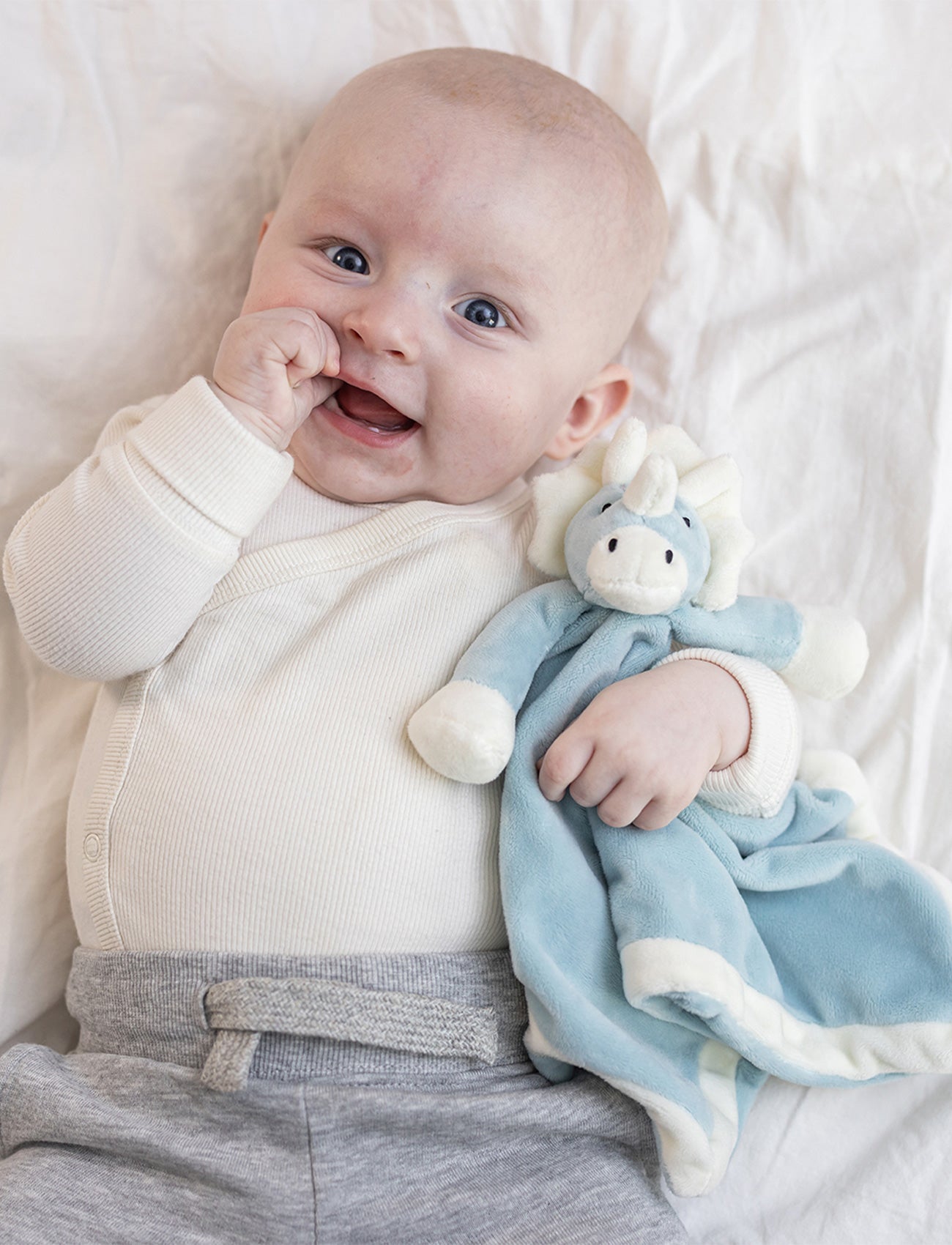 Diinglisar, Baby Blanket, Dino