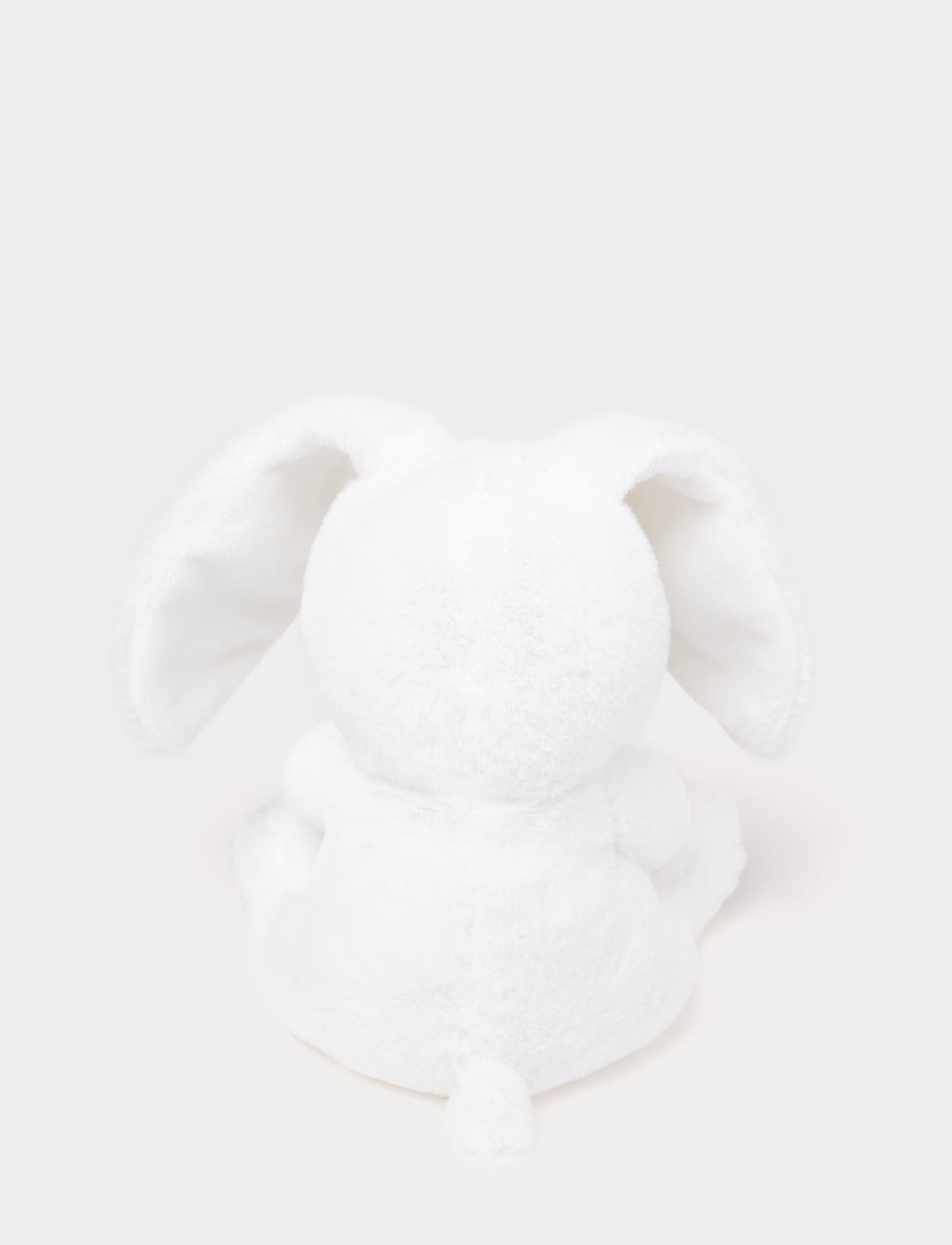 Bunny with Easter Egg
