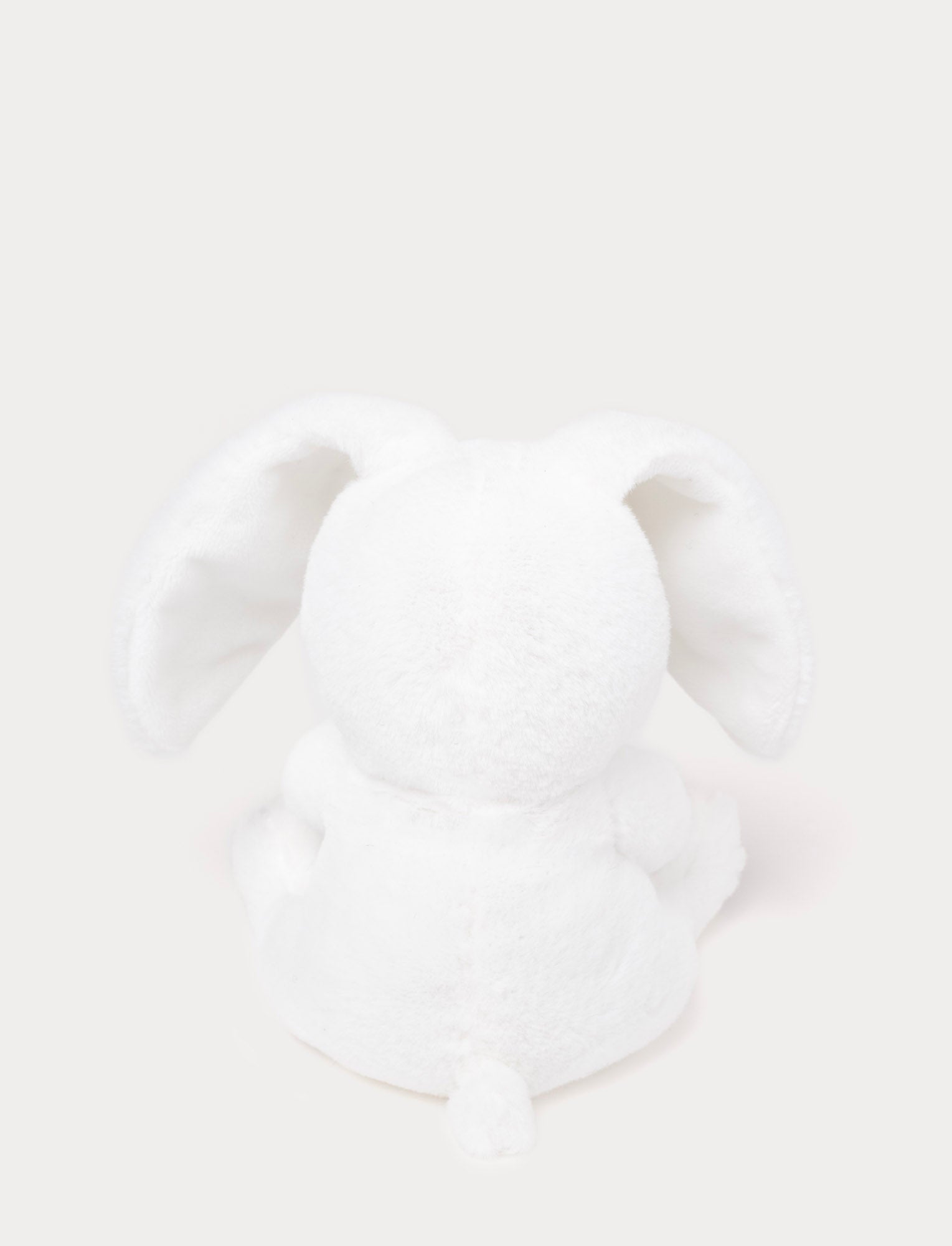  Image of Bunny with Easter Egg
