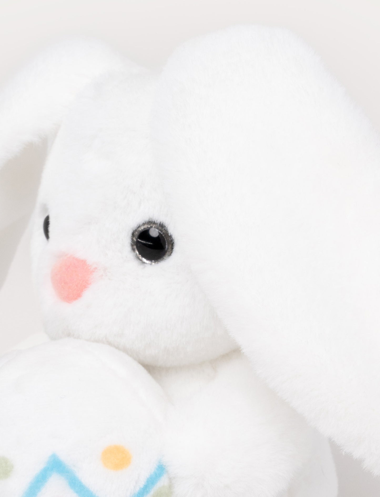 Bunny with Easter Egg