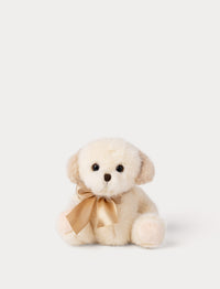 Small cream-colored dog with a gold satin bow on a white background