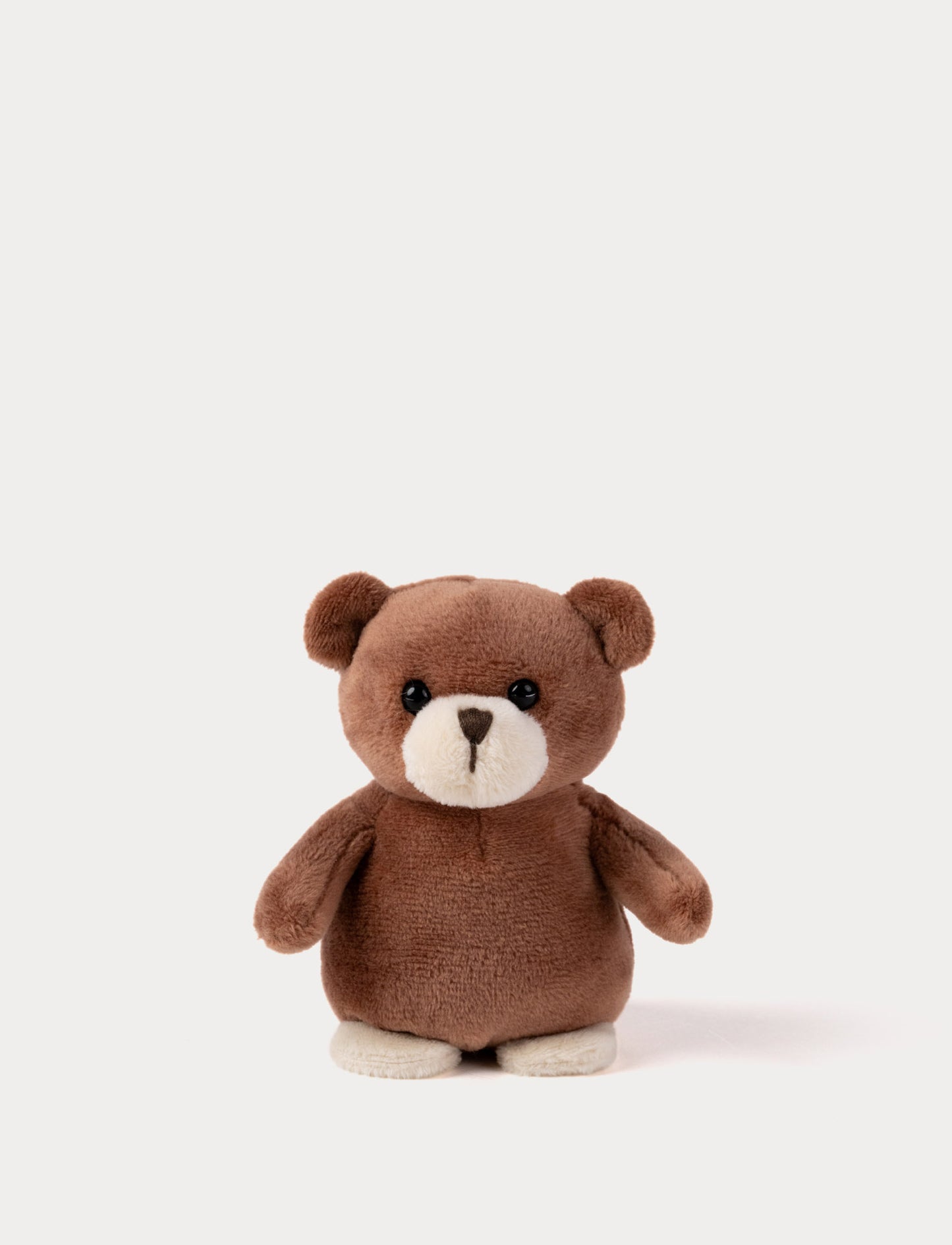 Brown teddy bear on a white background