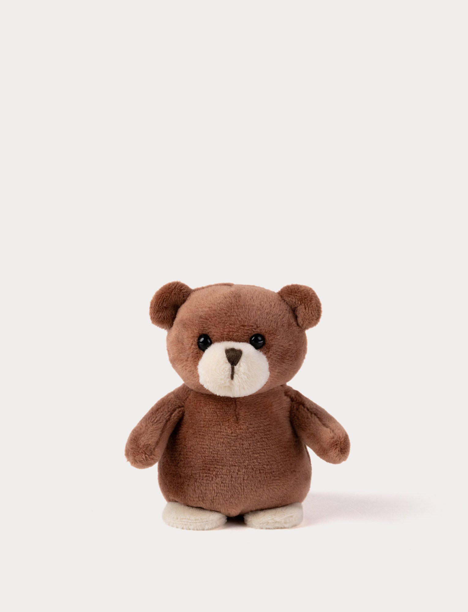  Image of Brown teddy bear on a white background