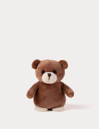 Brown teddy bear on a white background