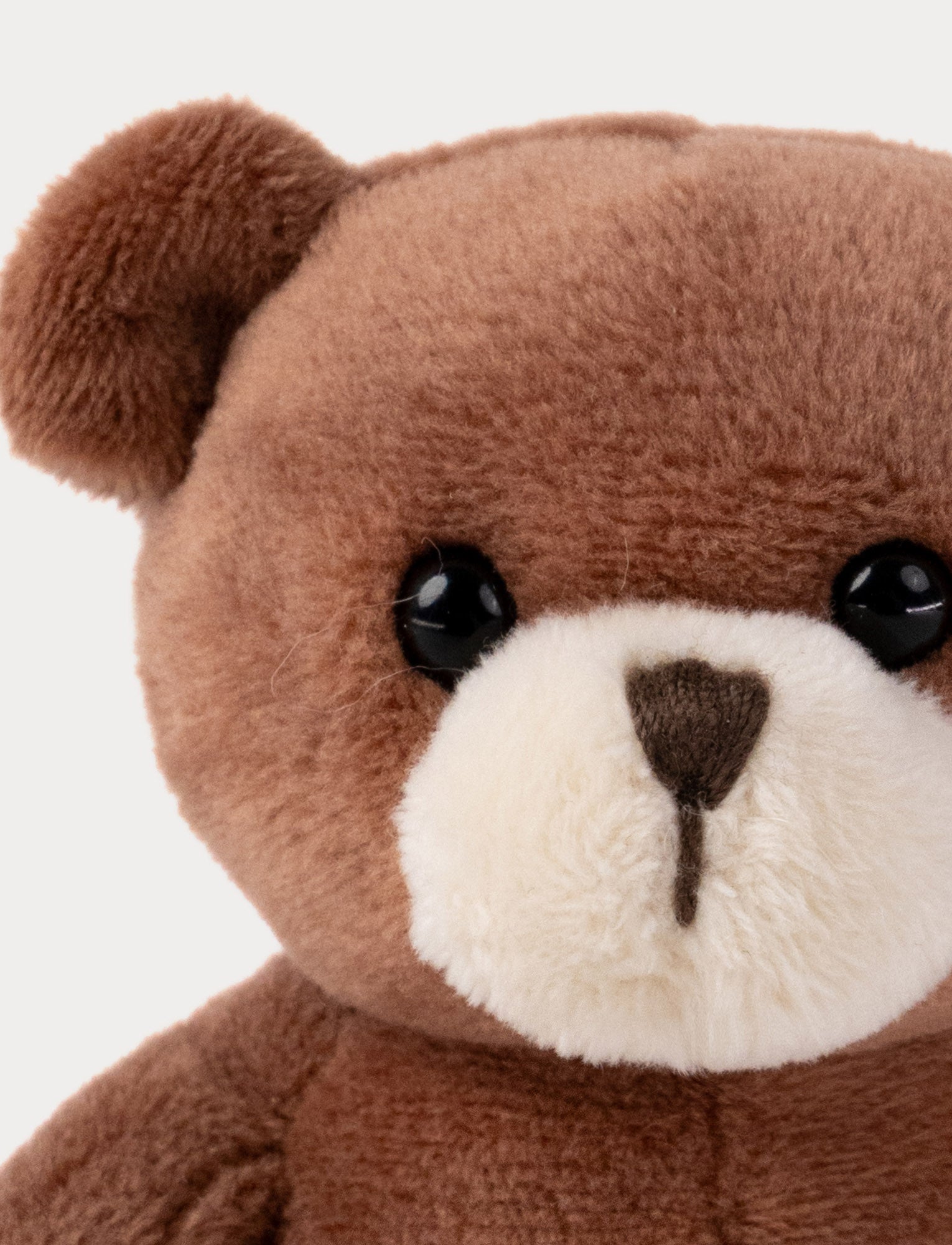  Image of Swedish Forest Animals, Bear