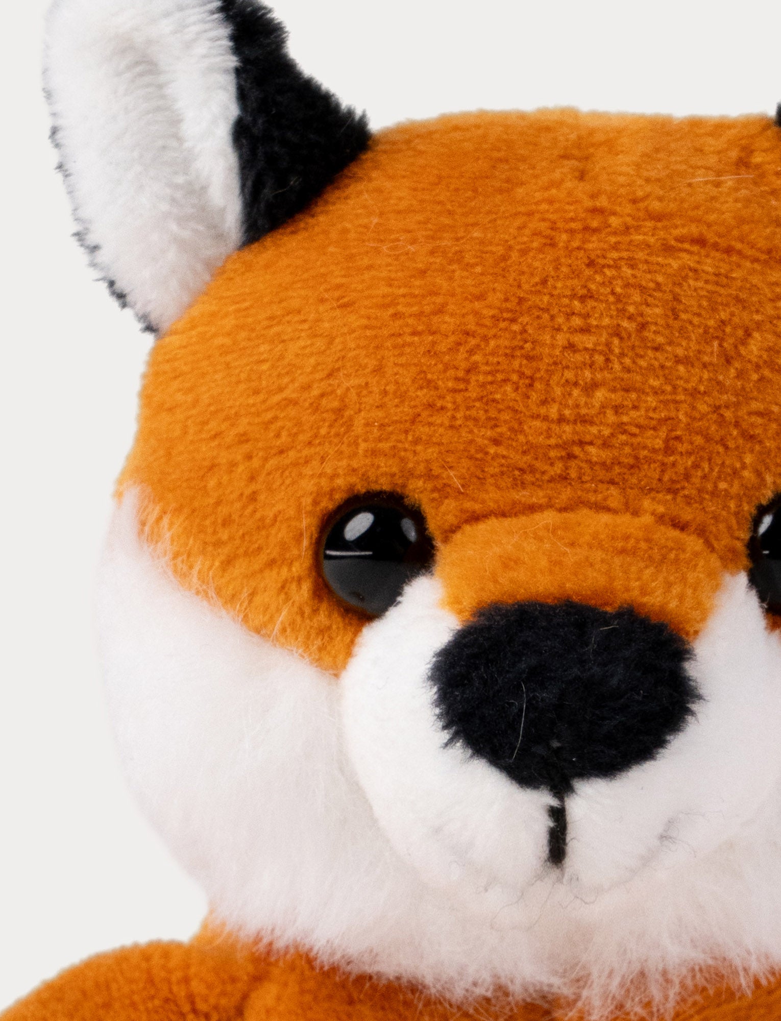  Image of Swedish Forest Animals, Fox