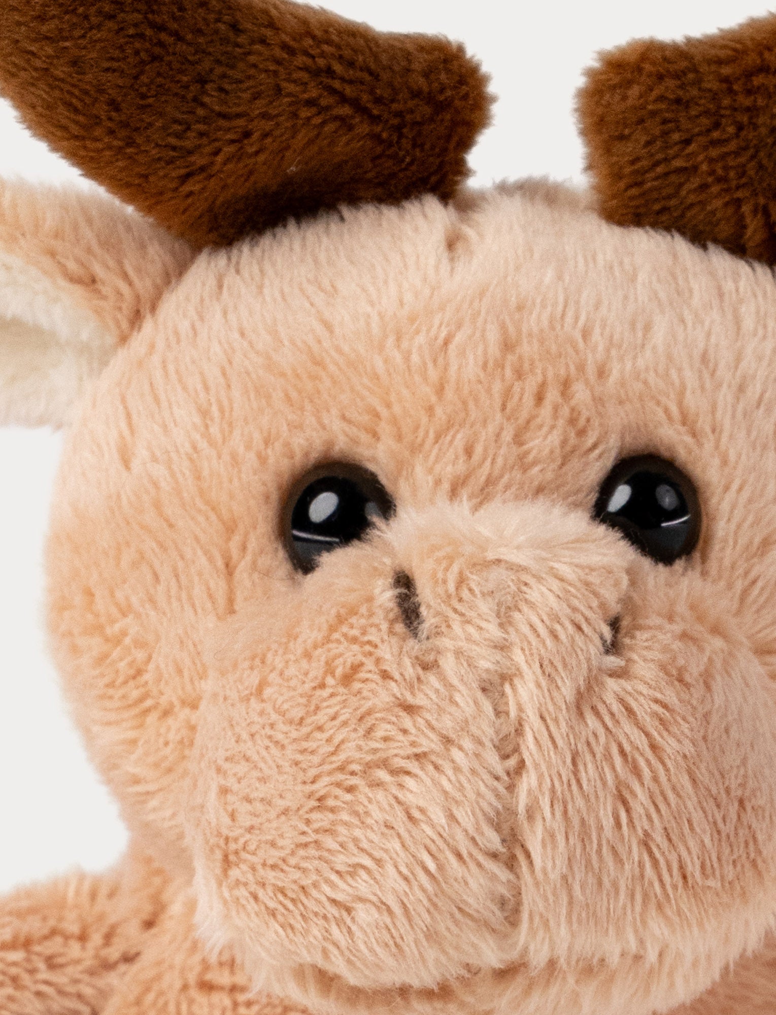  Image of Swedish Forest Animals, Moose