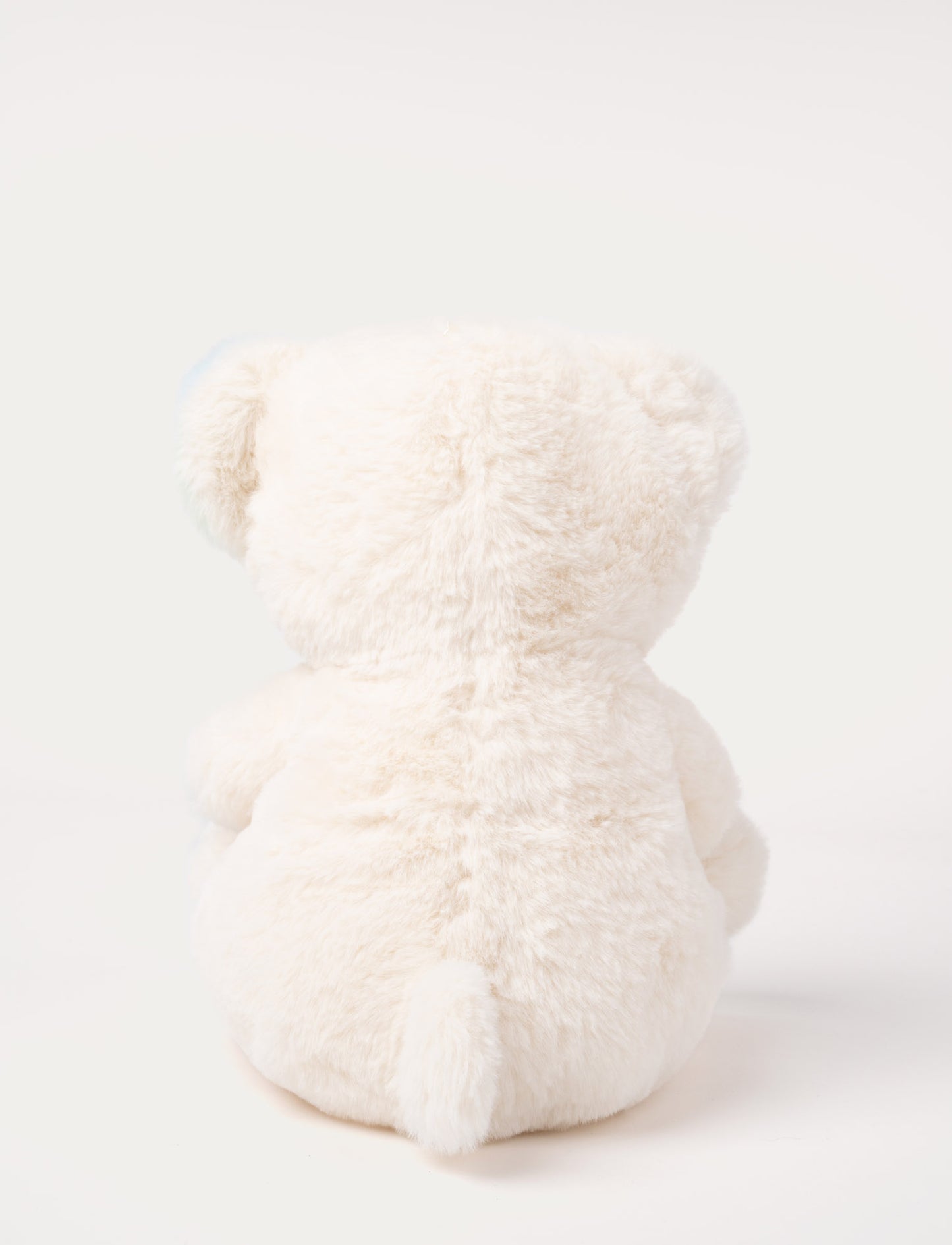 Charlie, Teddy Bear, Rainbow-Colored