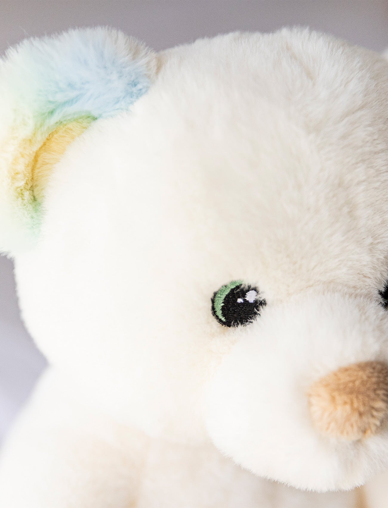 Charlie, Teddy Bear, Rainbow-Colored
