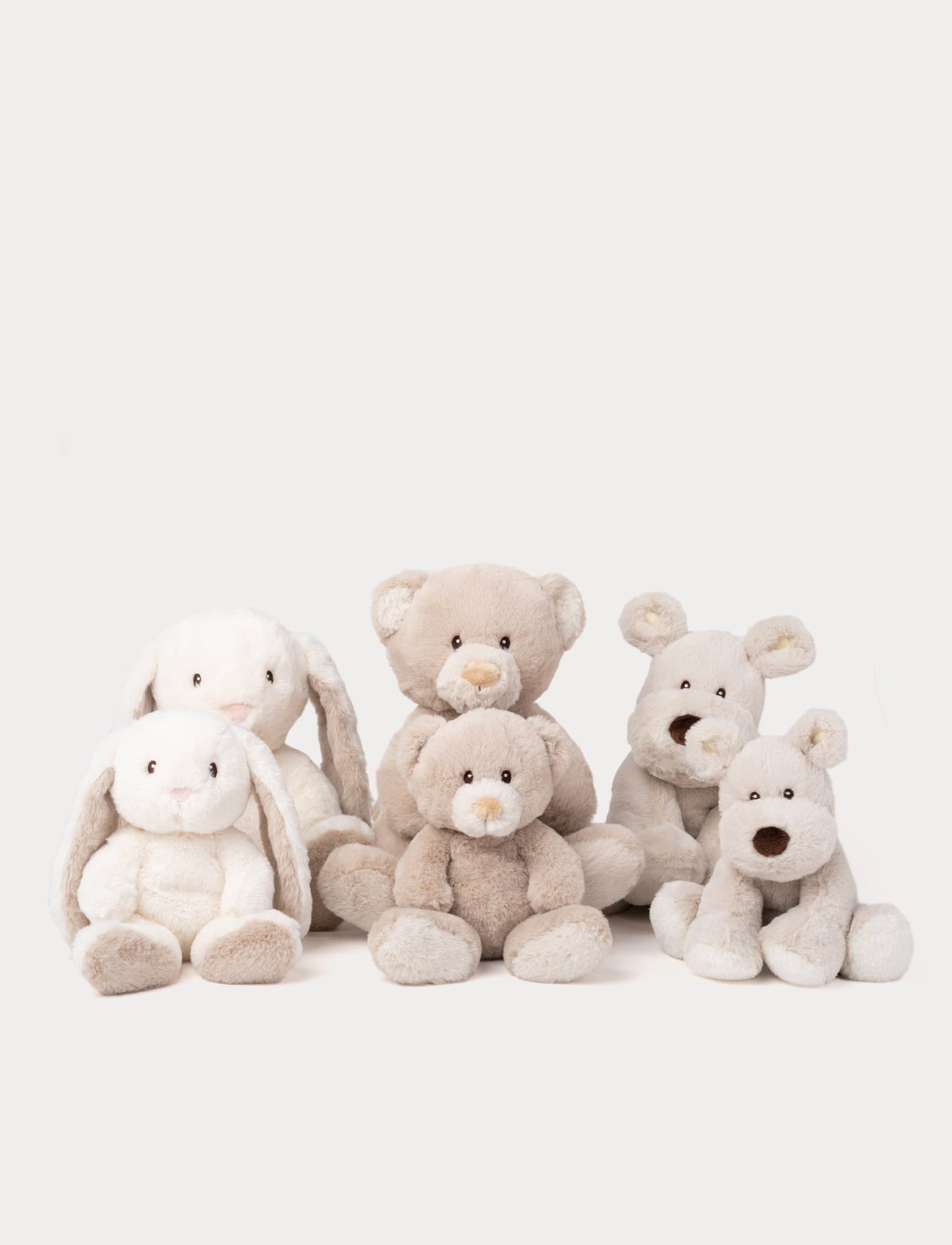 Teddy Mocca, Nalle, Stor