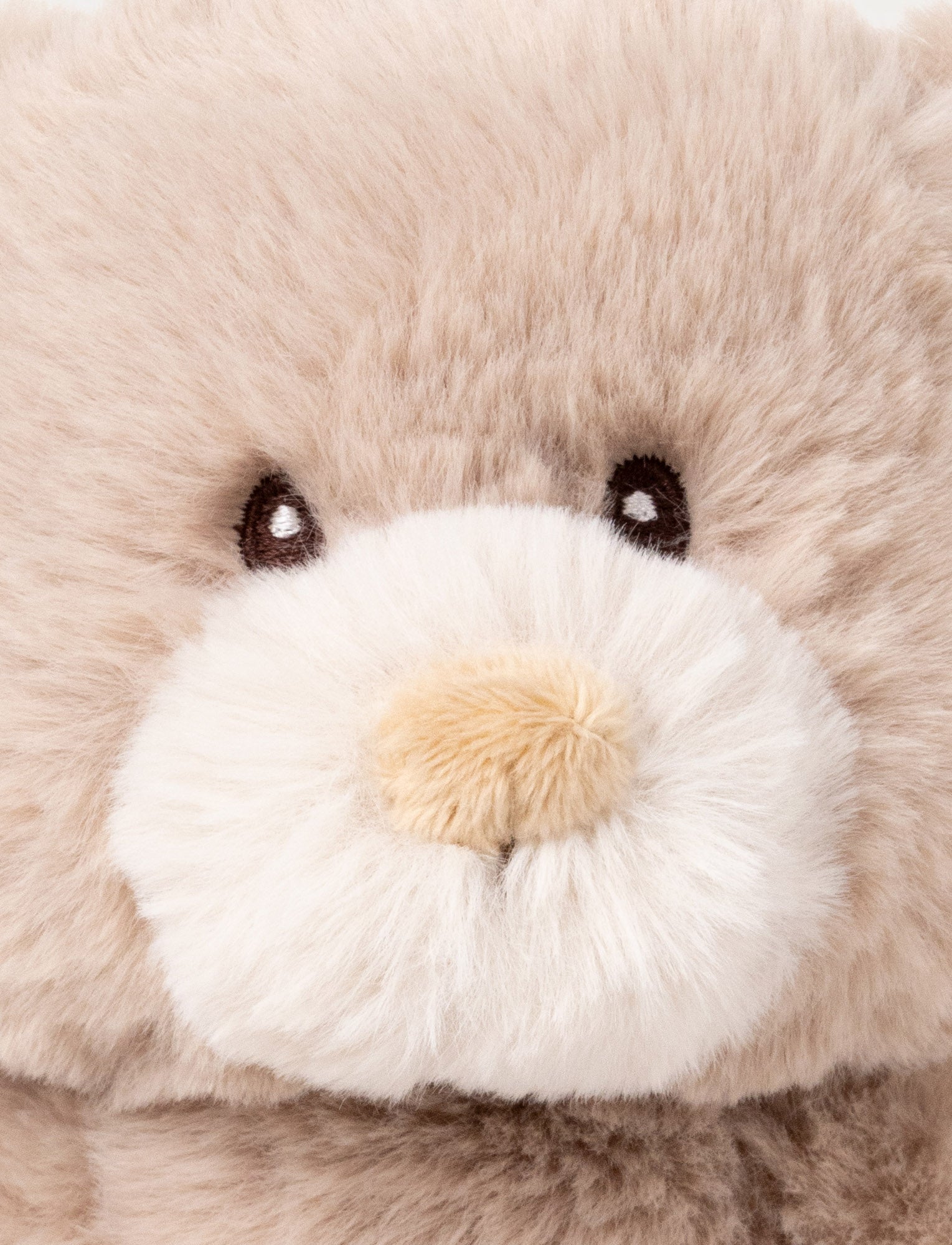  Image of Teddy Mocca, Teddy Bear, Small